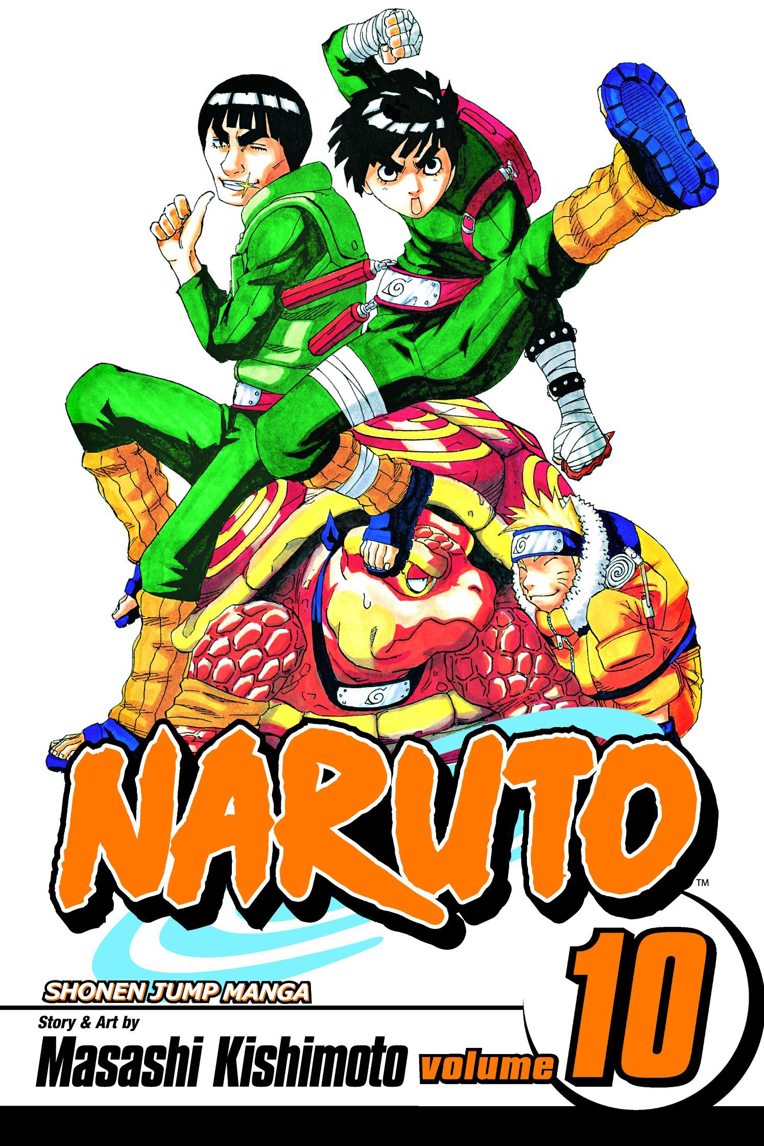 Product Image: Naruto, Vol. 10