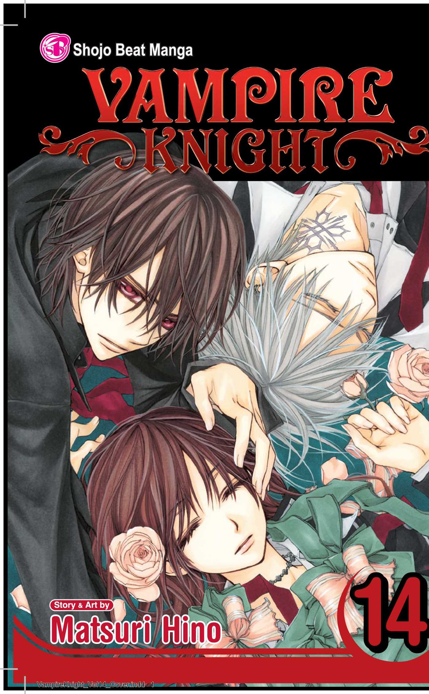 Product Image: Vampire Knight, Vol. 14