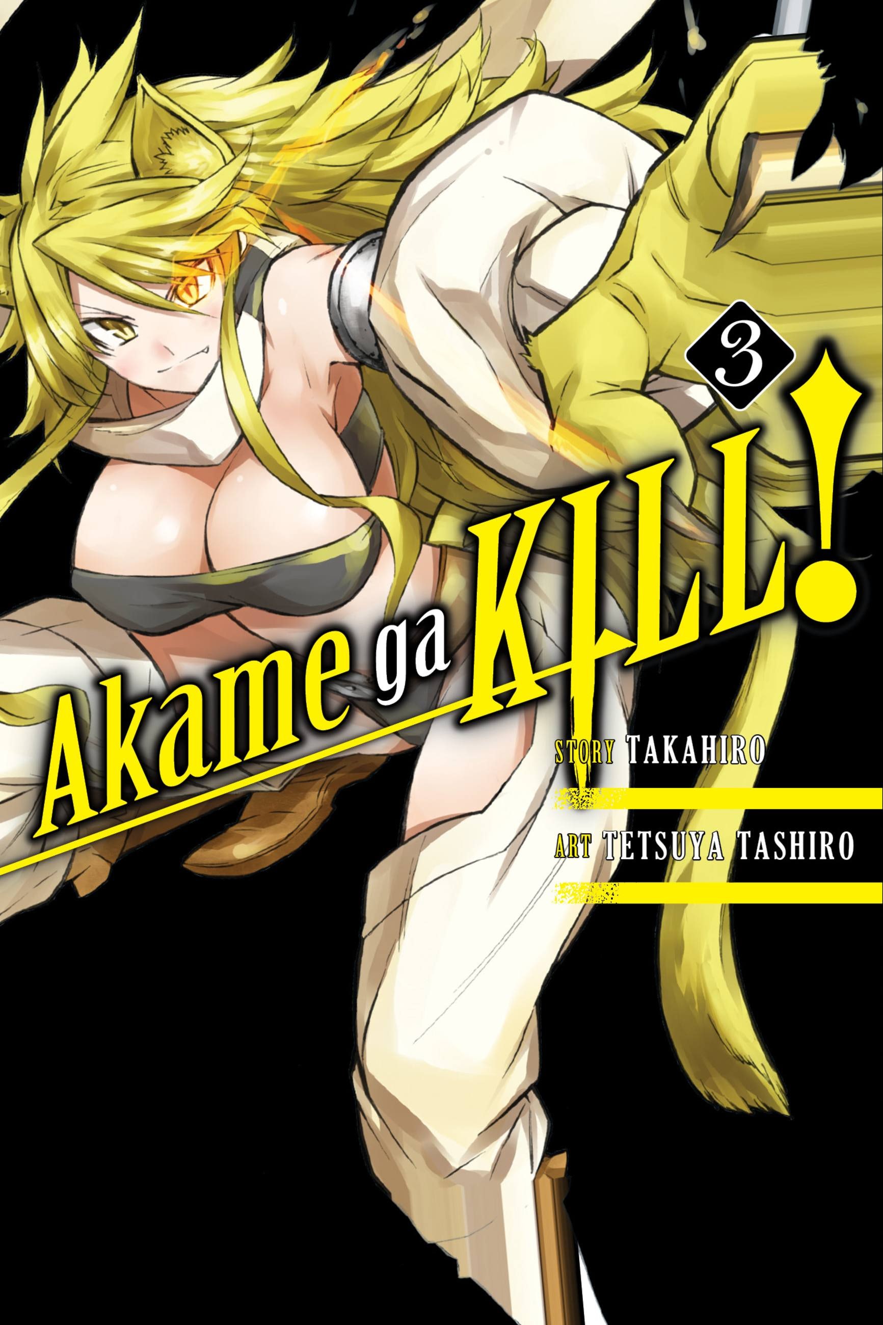 Product Image: Akame ga KILL!, Vol. 3