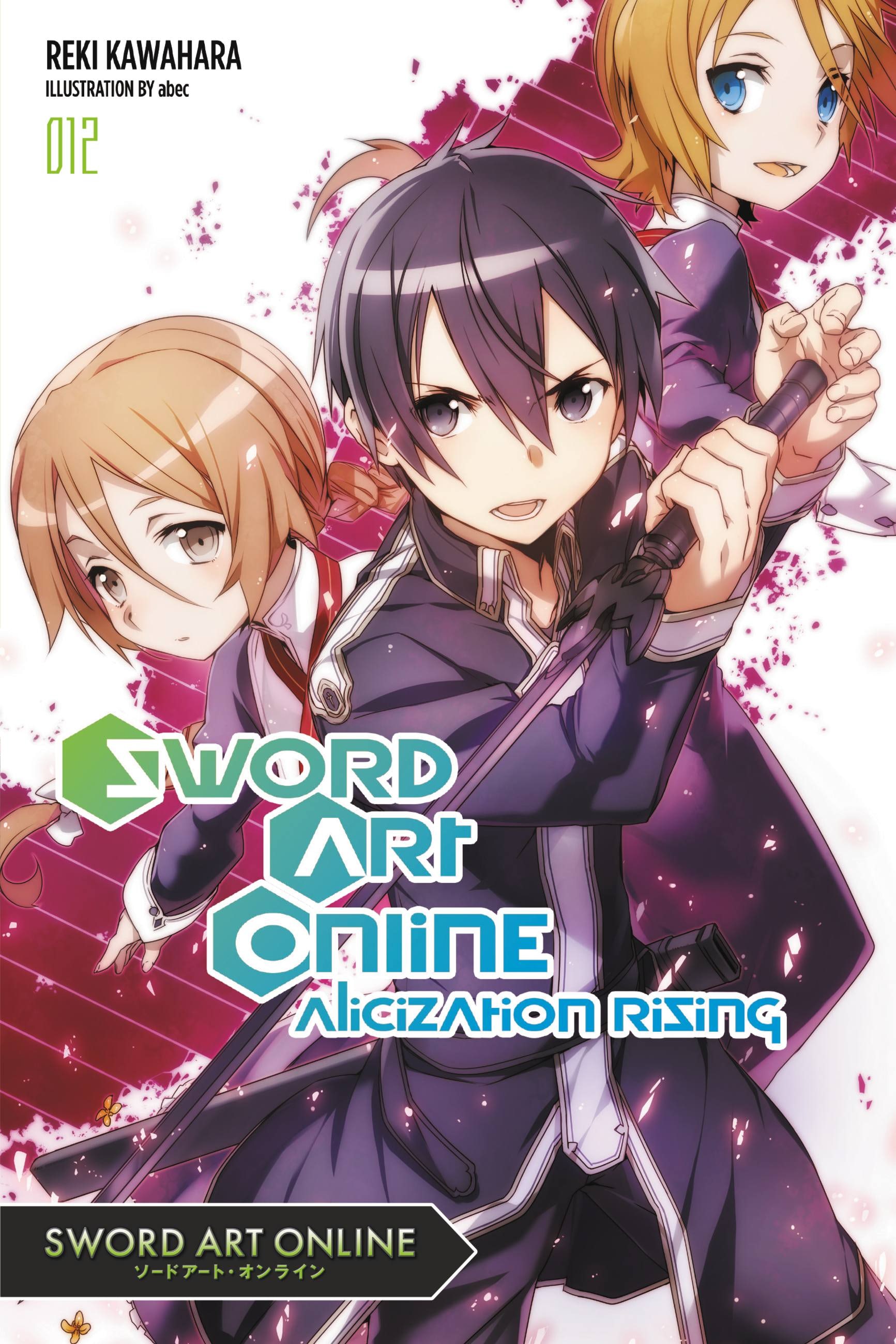 Product Image: Sword Art Online 12 (light novel)