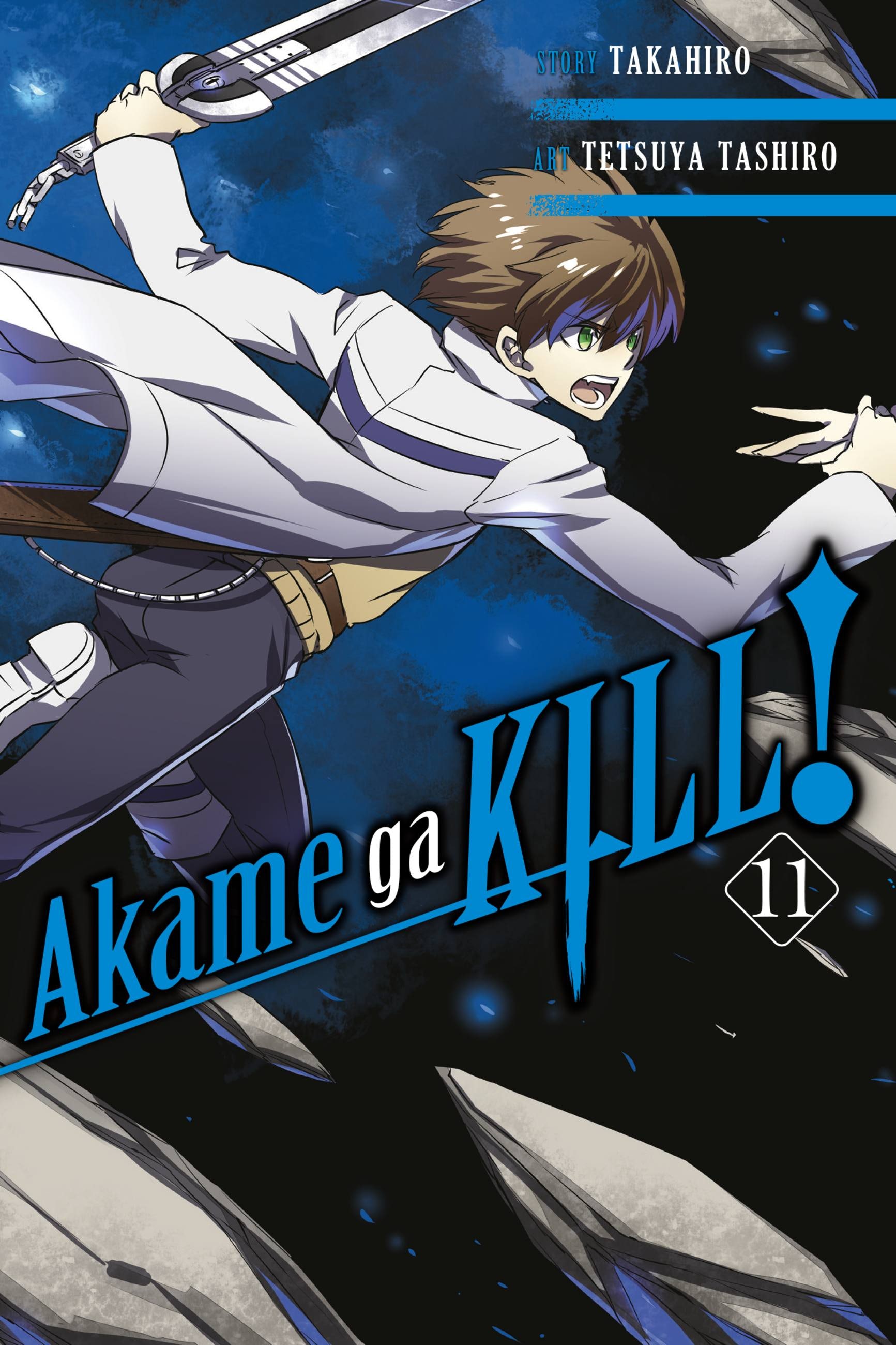 Product Image: Akame ga KILL!, Vol. 11