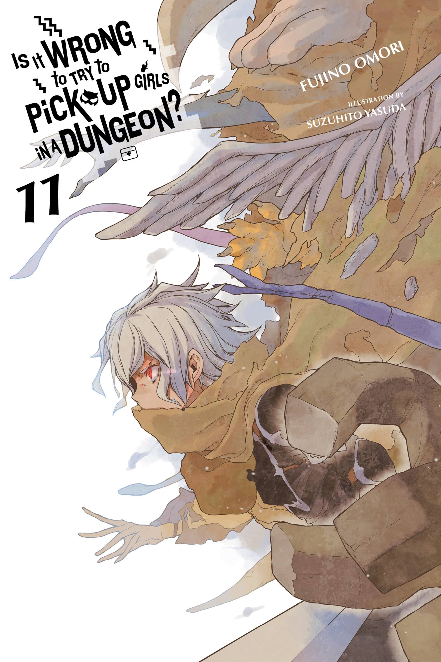 Product Image: Is It Wrong to Try to Pick Up Girls in a Dungeon?, Vol. 11 (light novel)