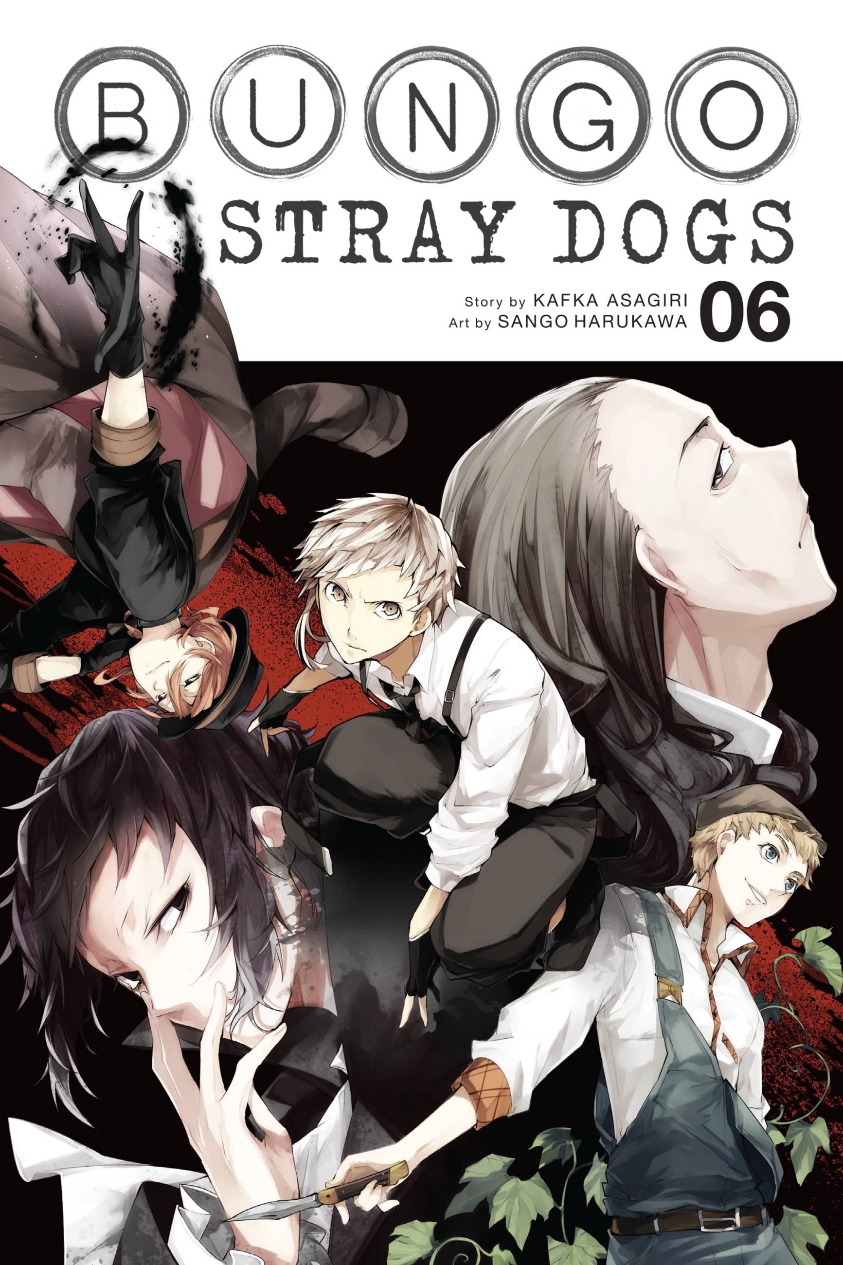 Product Image: Bungo Stray Dogs, Vol. 6