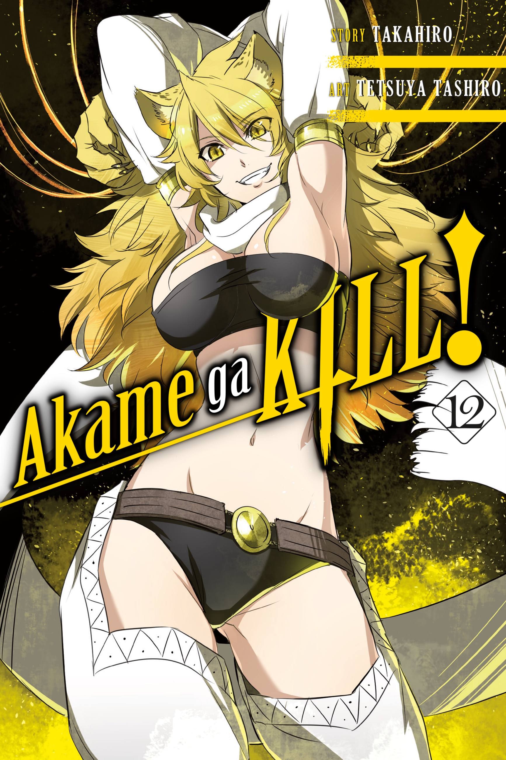 Product Image: Akame ga KILL!, Vol. 12