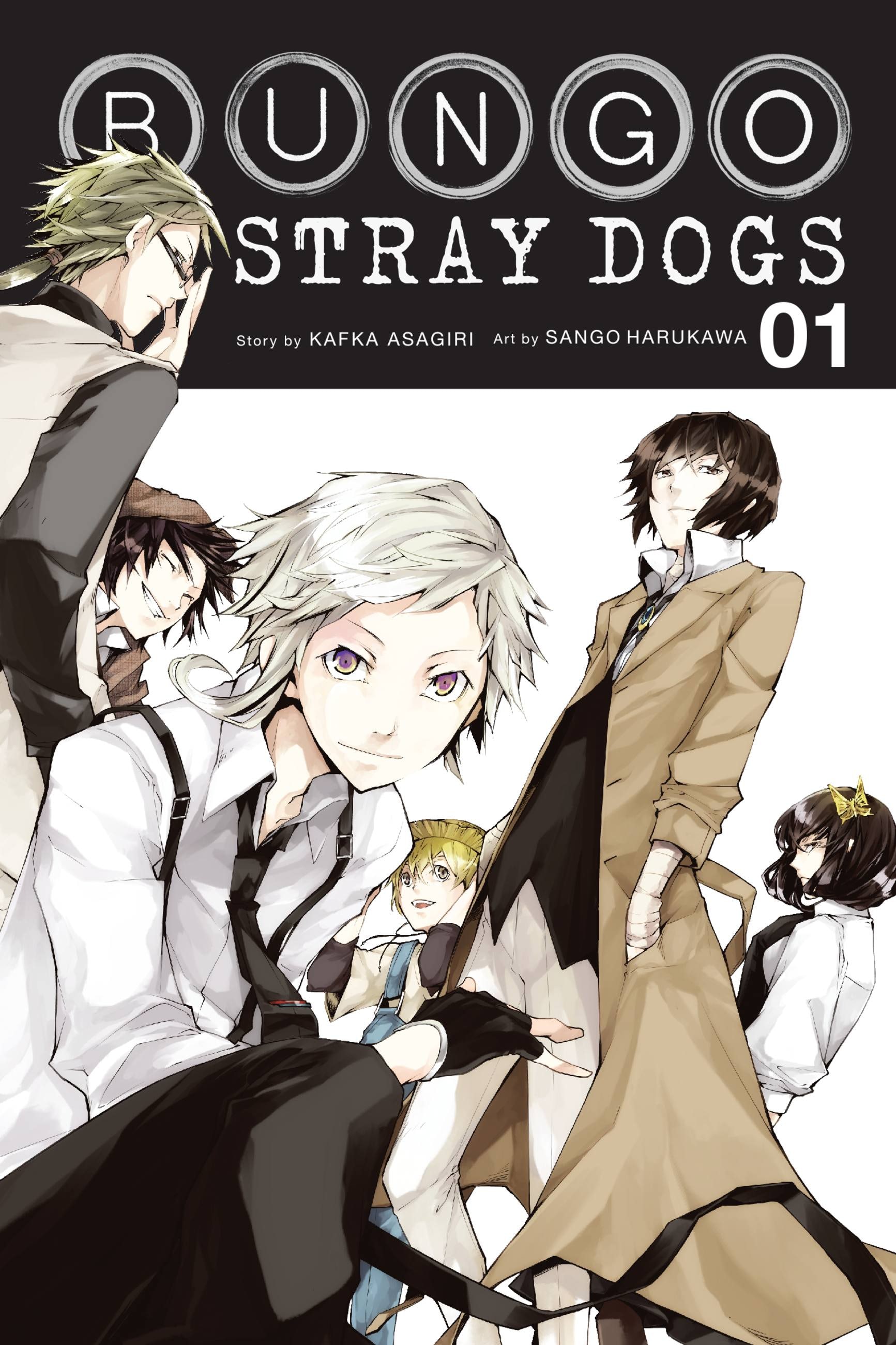 Product Image: Bungo Stray Dogs, Vol. 1