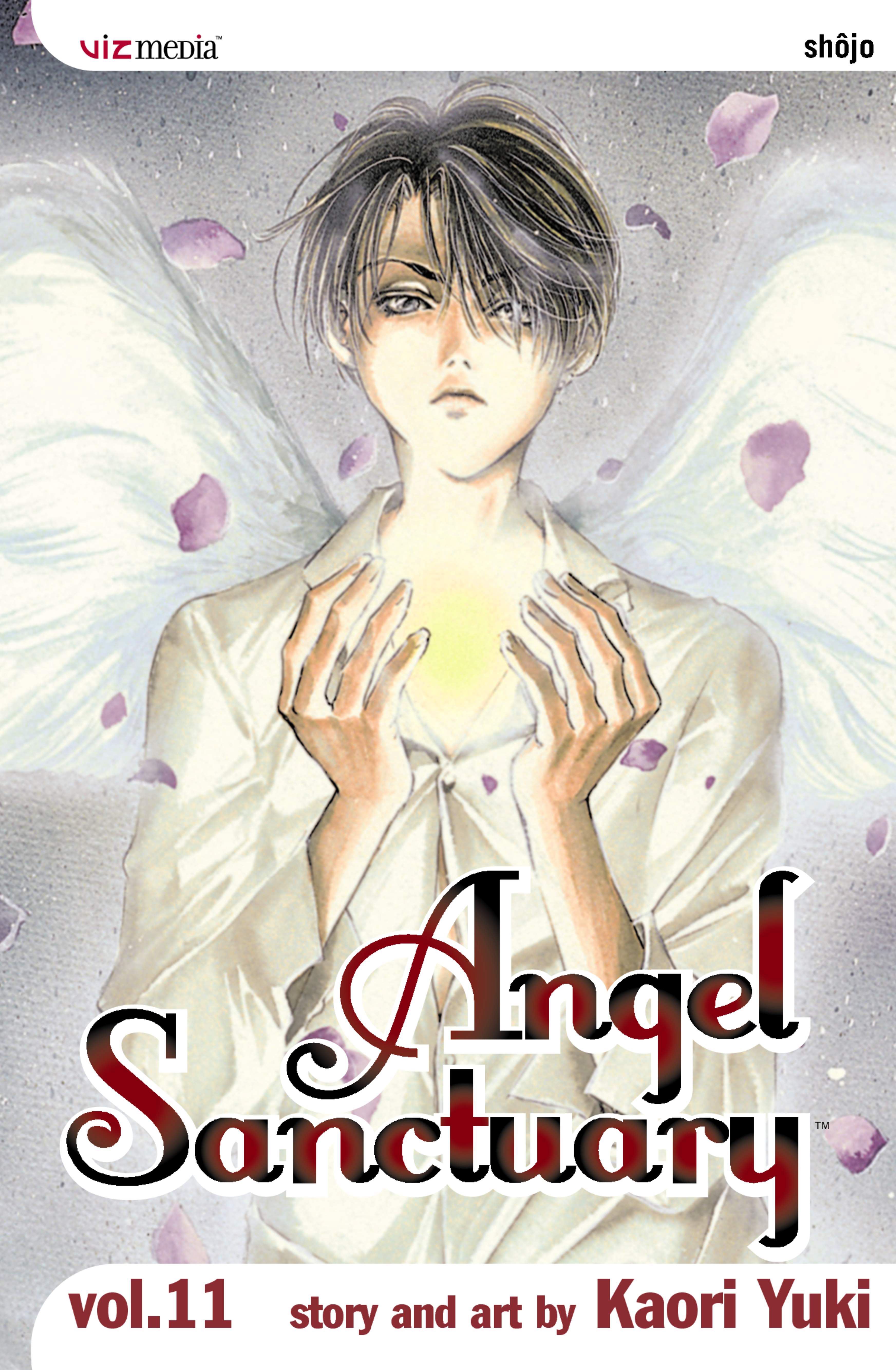 Product Image: Angel Sanctuary, Vol. 11