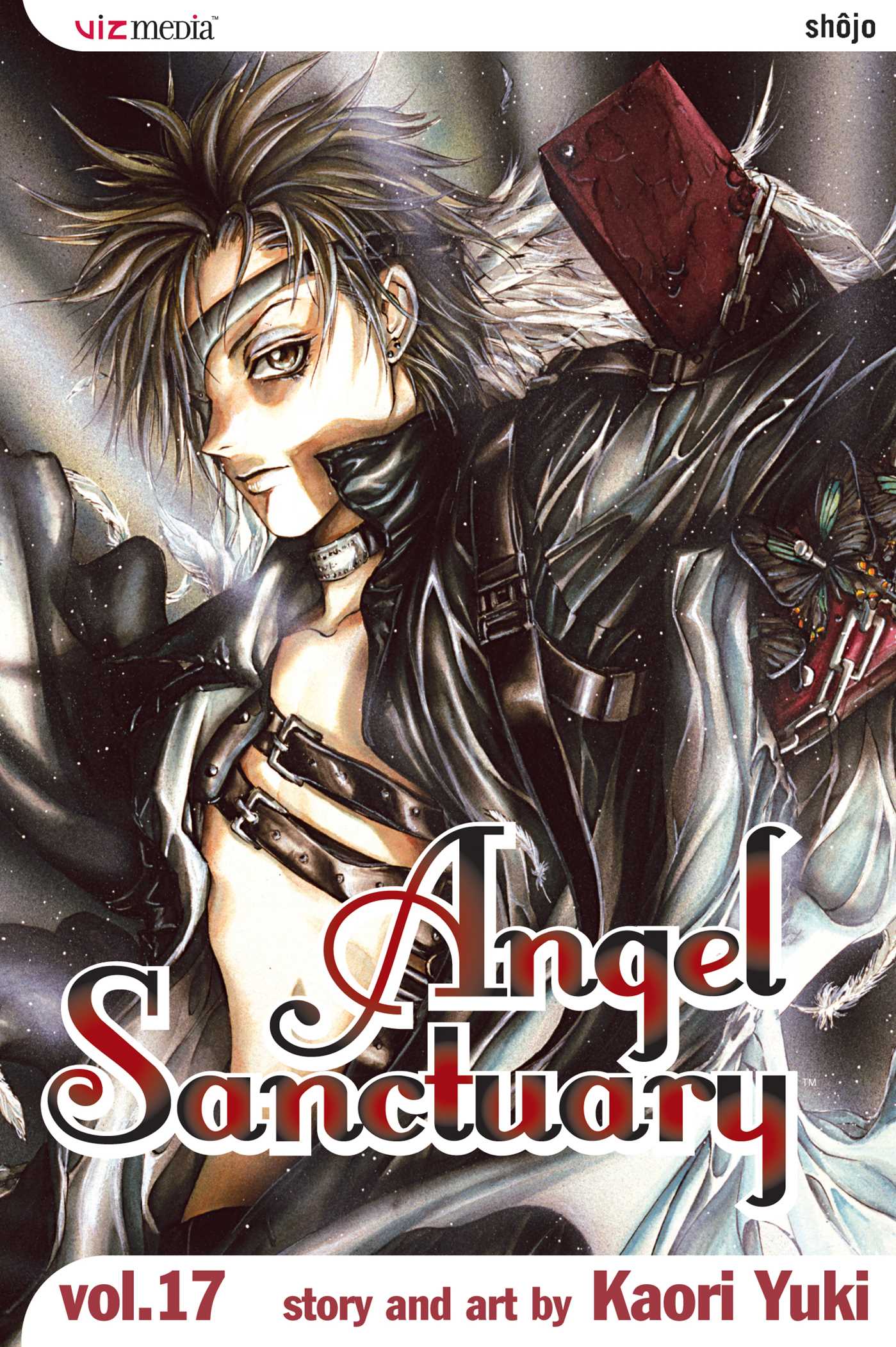 Product Image: Angel Sanctuary, Vol. 17