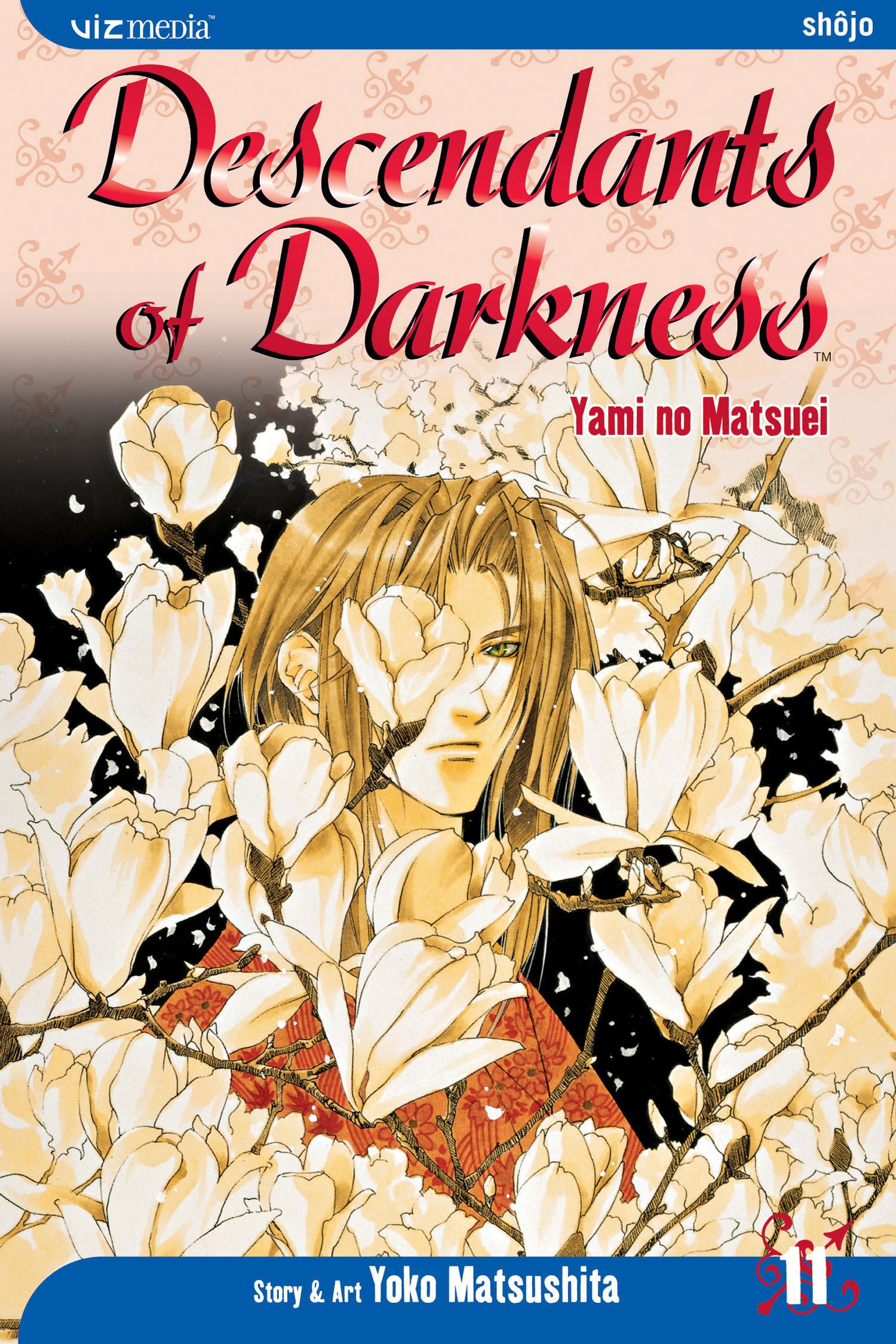 Product Image: Descendants of Darkness, Vol. 11