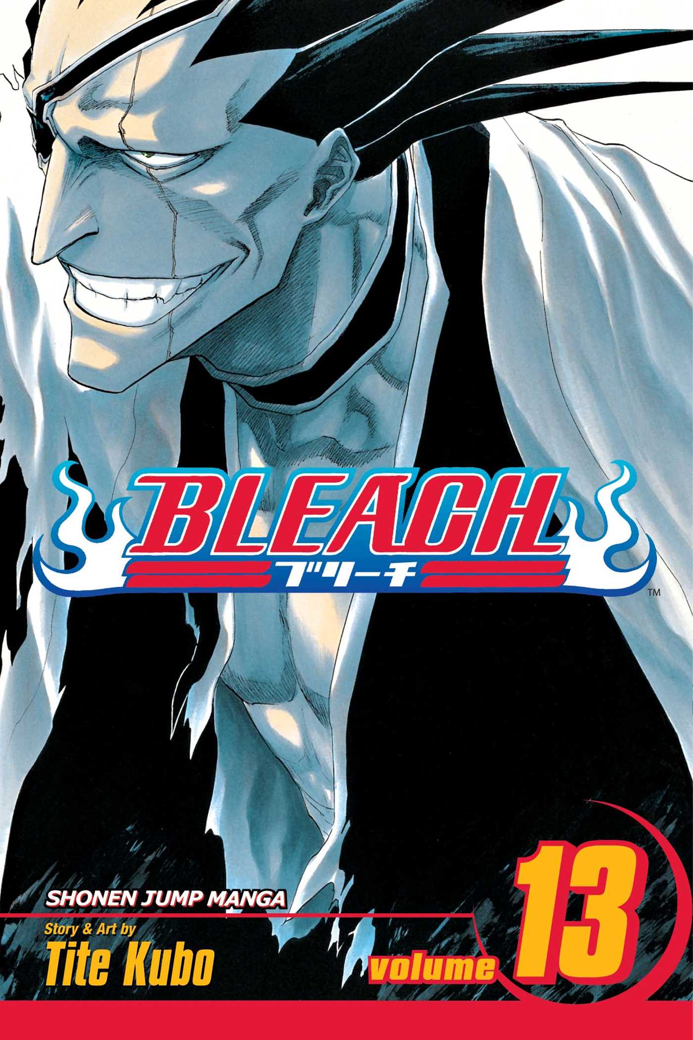 Product Image: Bleach, Vol. 13