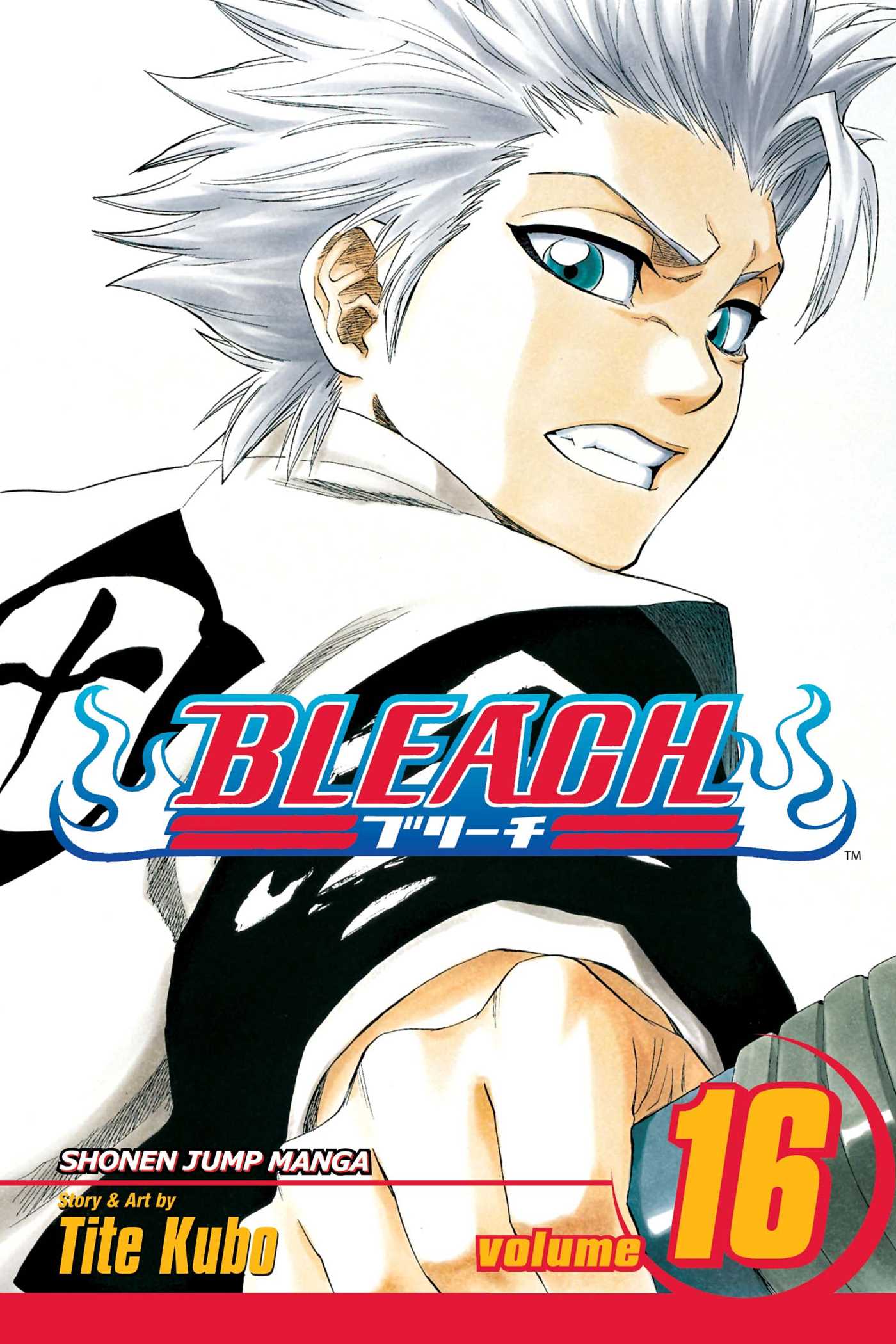 Product Image: Bleach, Vol. 16