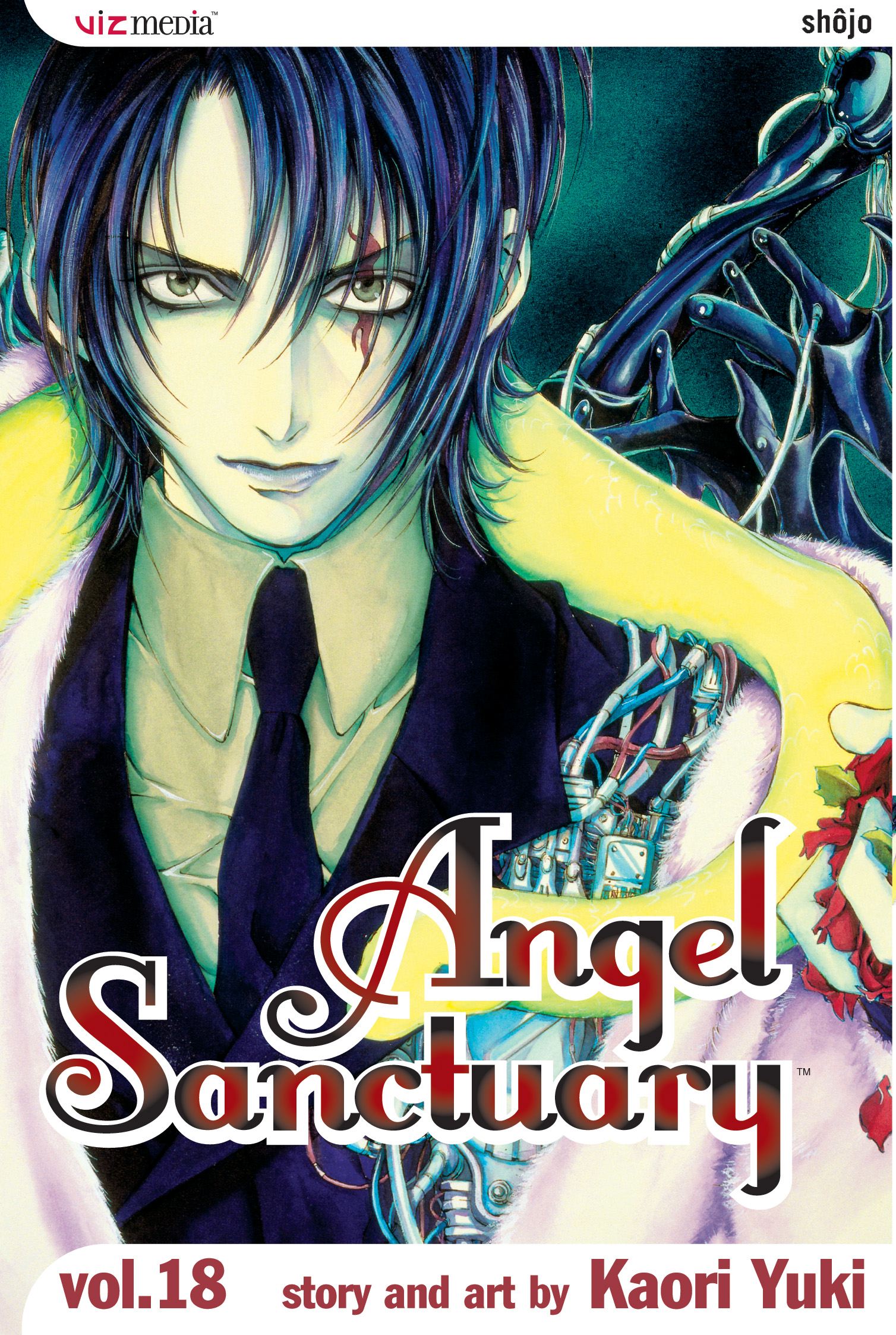 Product Image: Angel Sanctuary, Vol. 18