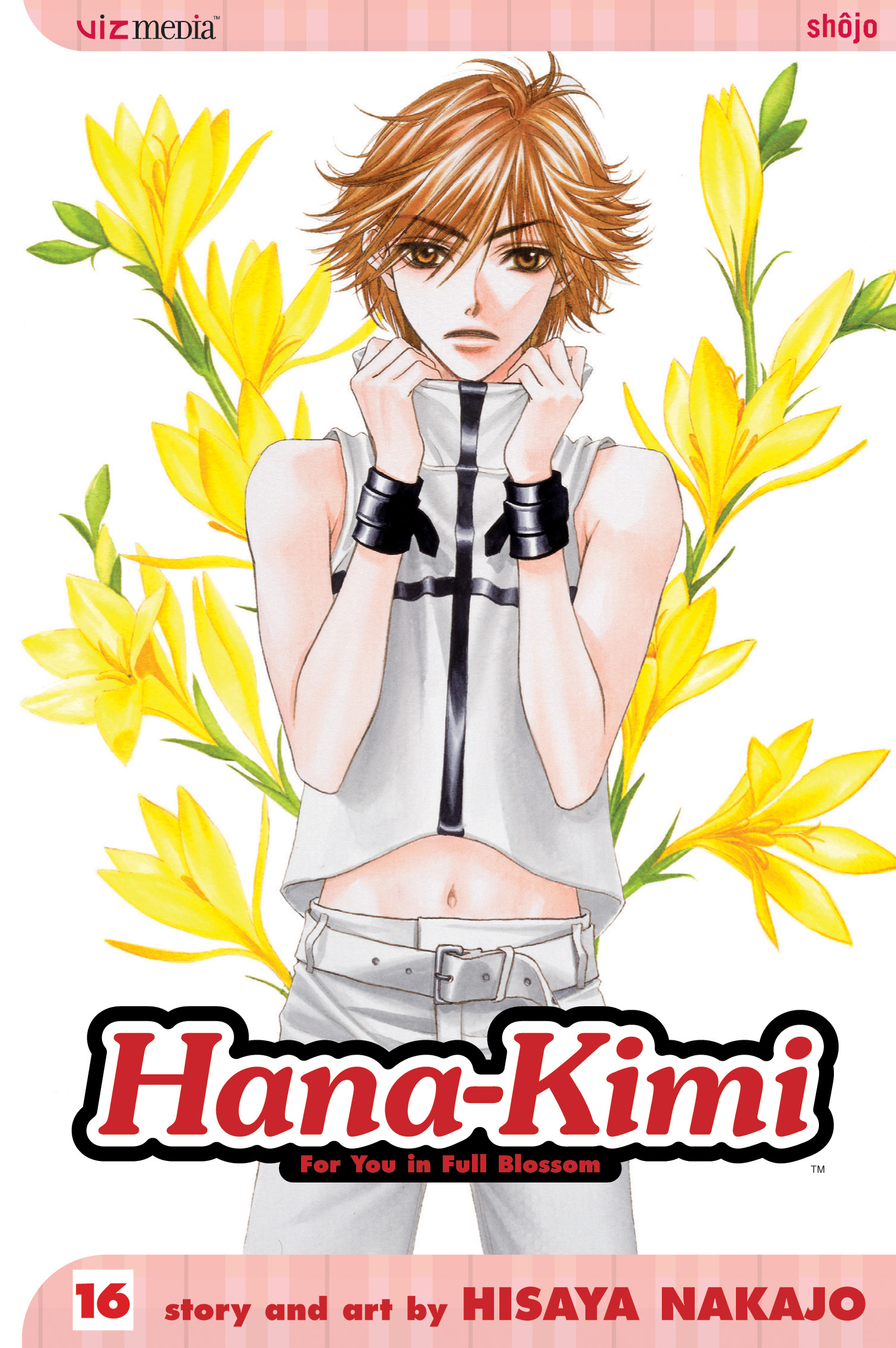 Product Image: Hana-Kimi, Vol. 16