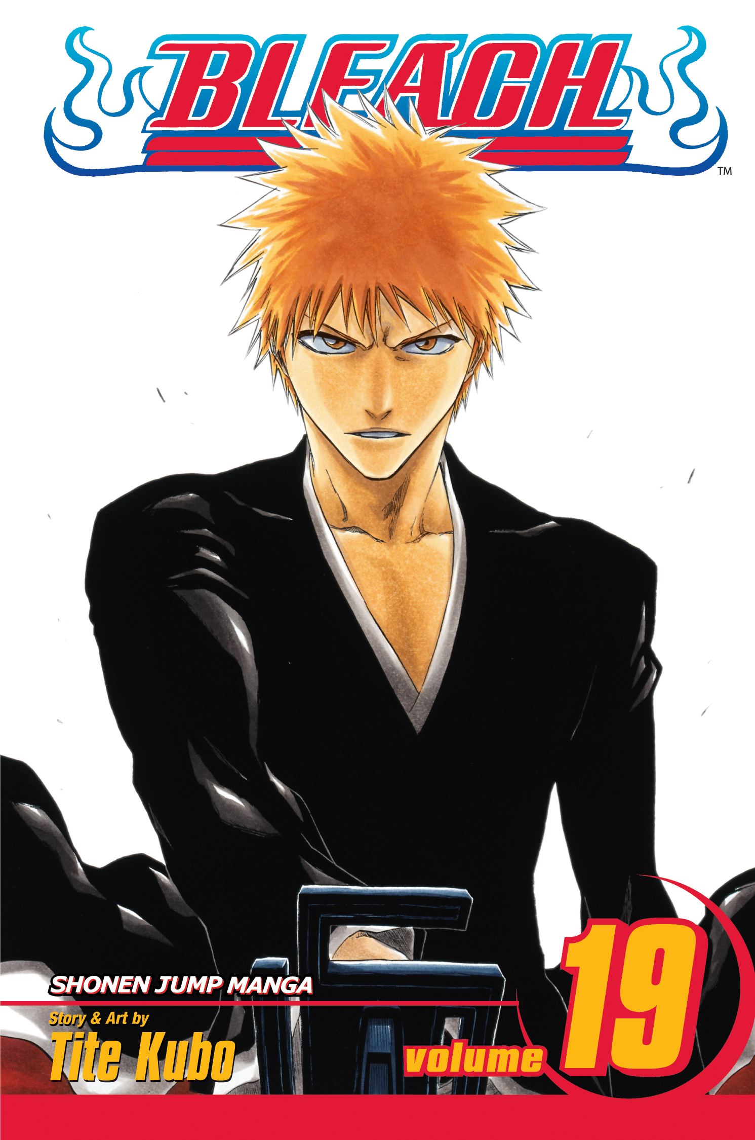 Product Image: Bleach, Vol. 19