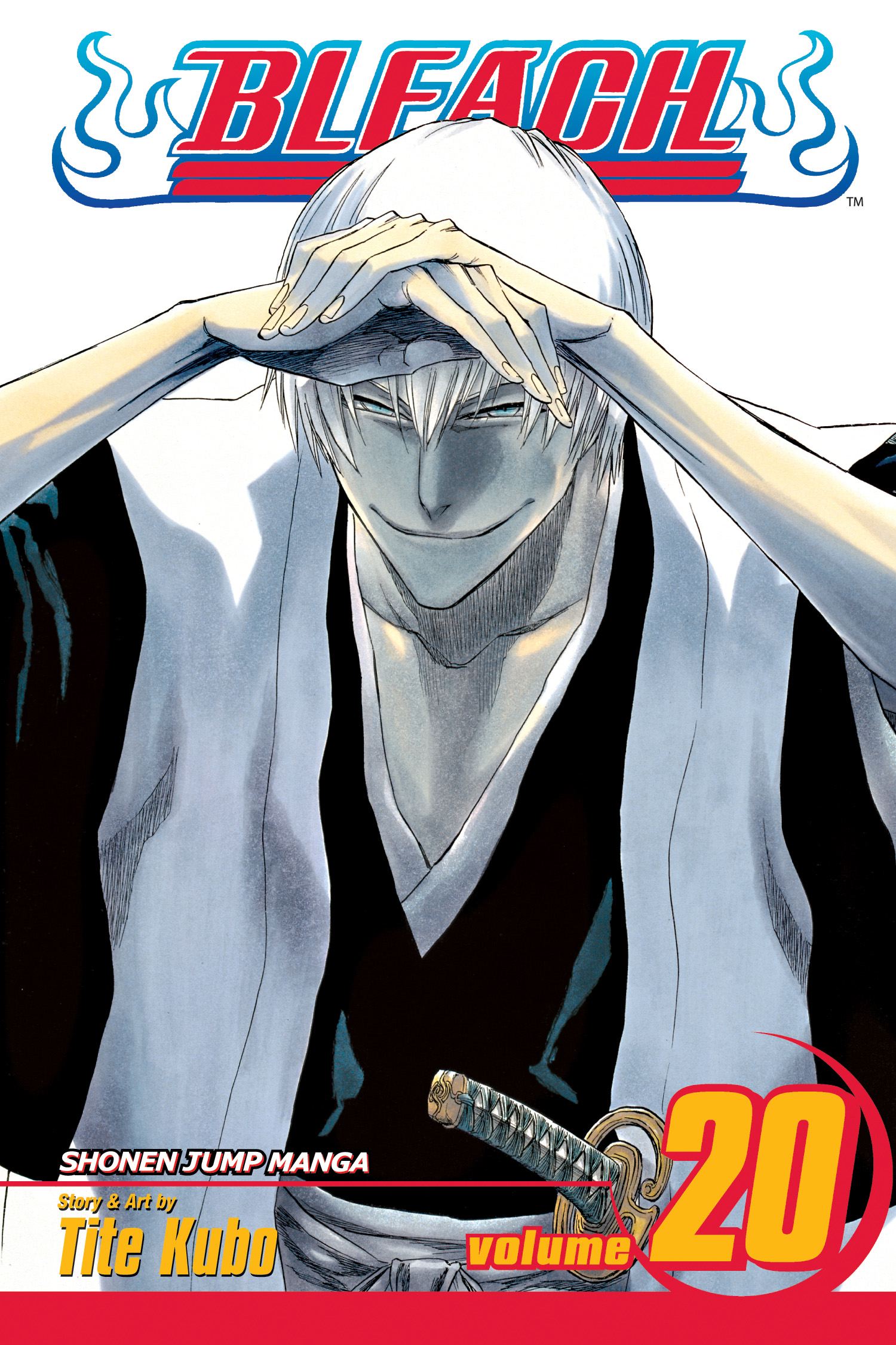 Product Image: Bleach, Vol. 20