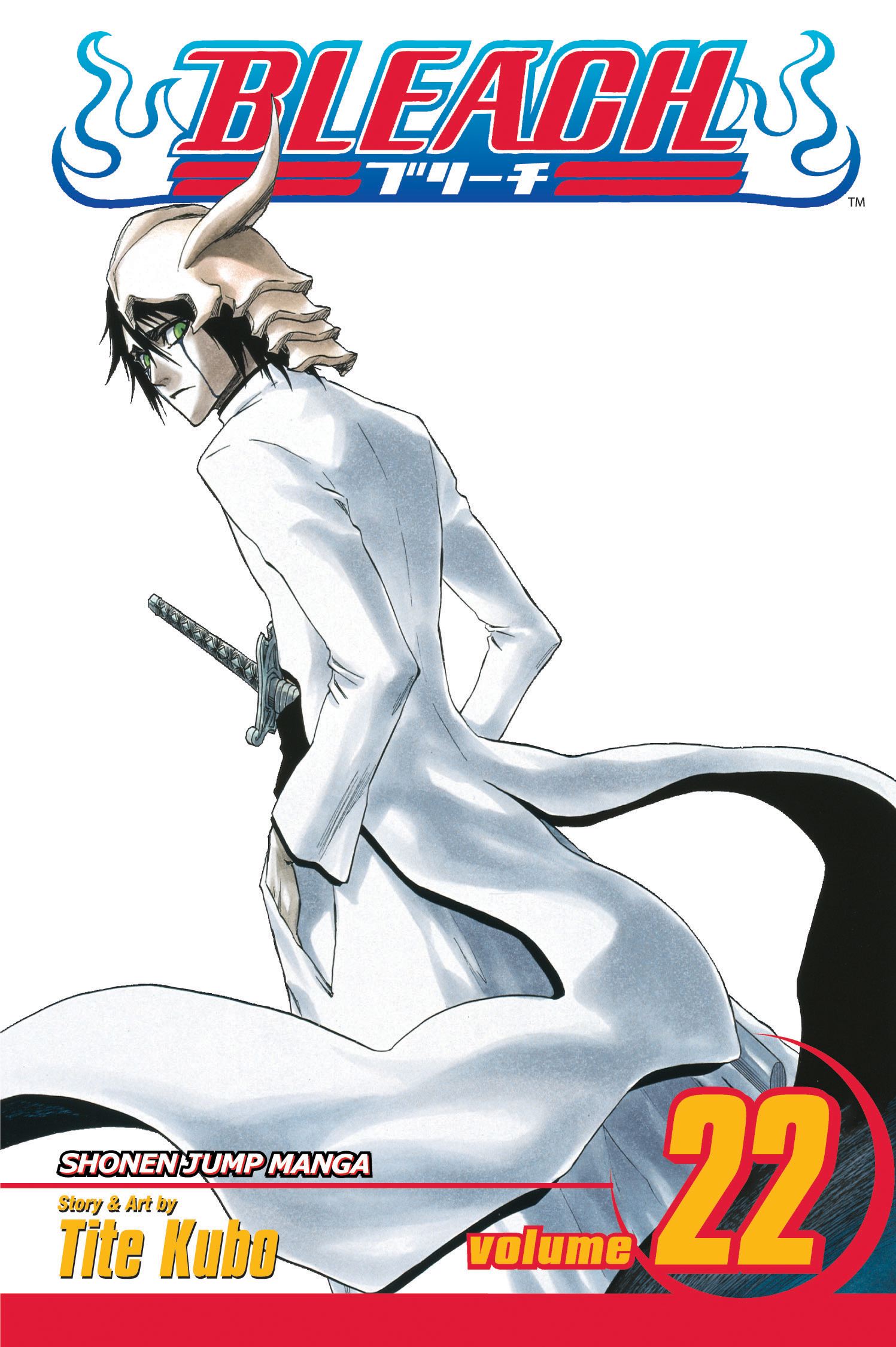 Product Image: Bleach, Vol. 22