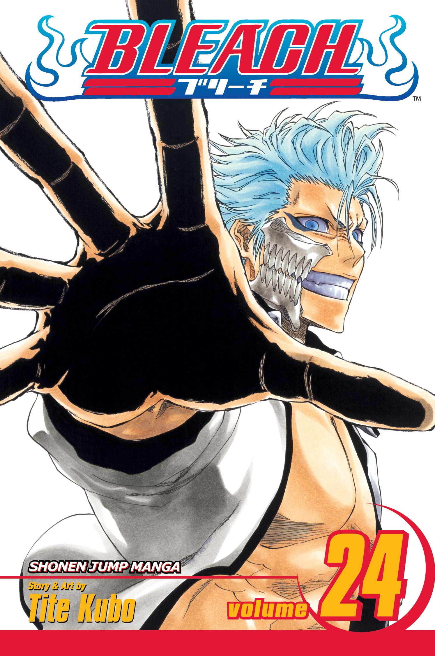 Product Image: Bleach, Vol. 24