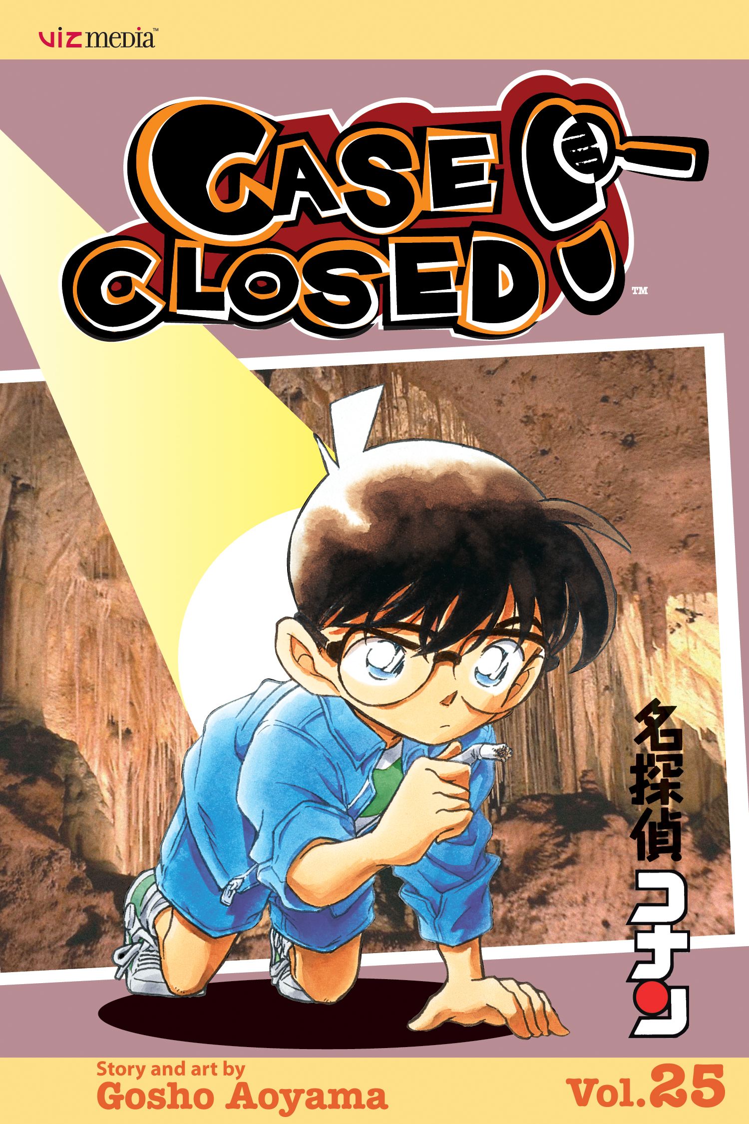 Product Image: Case Closed, Vol. 25