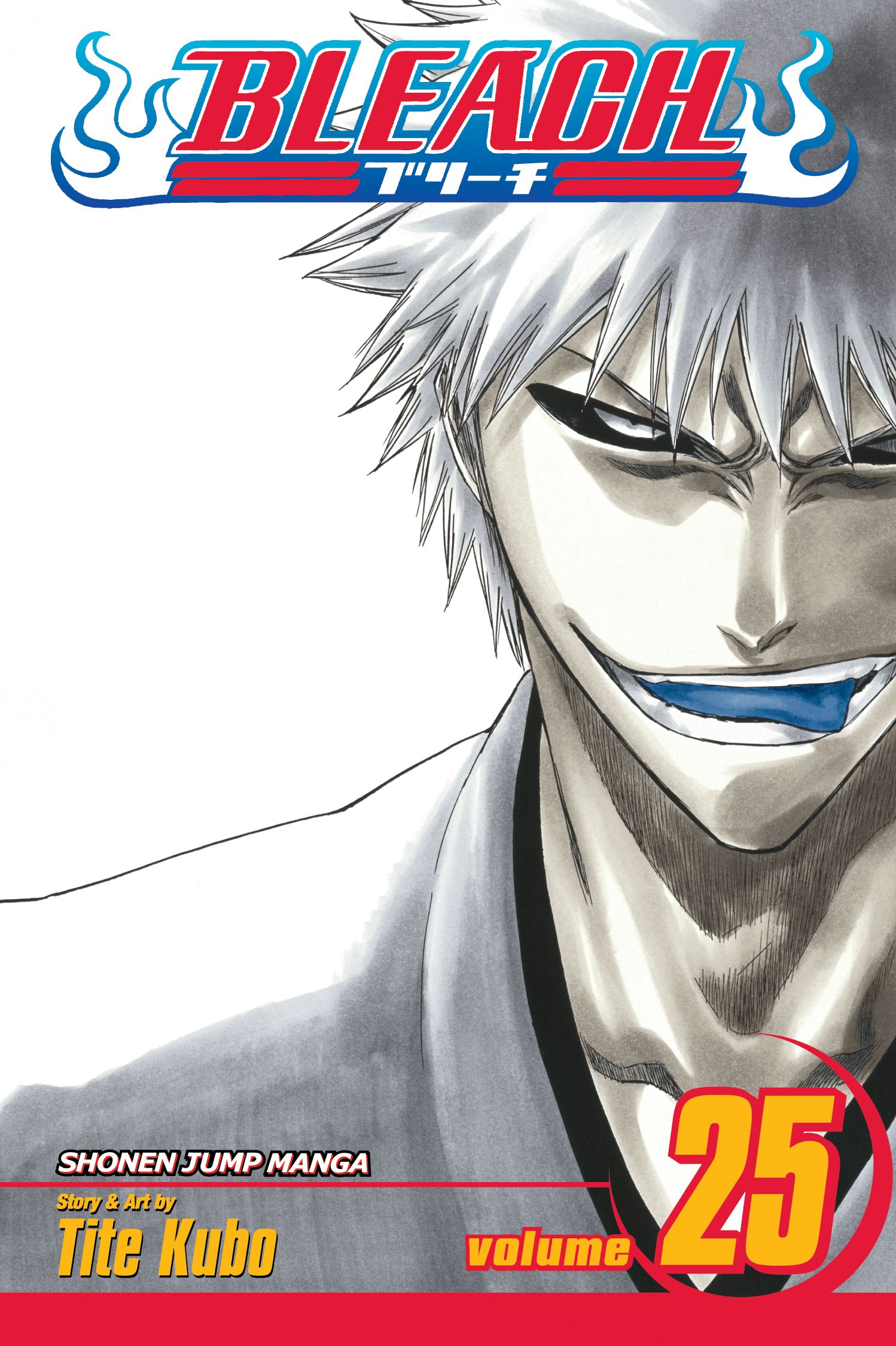 Product Image: Bleach, Vol. 25