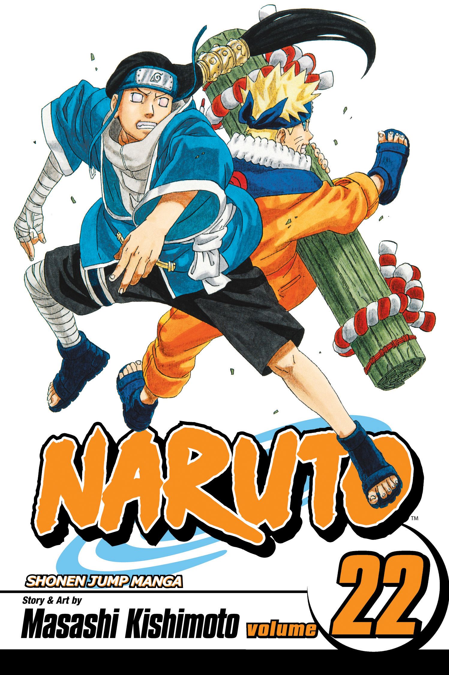 Product Image: Naruto, Vol. 22