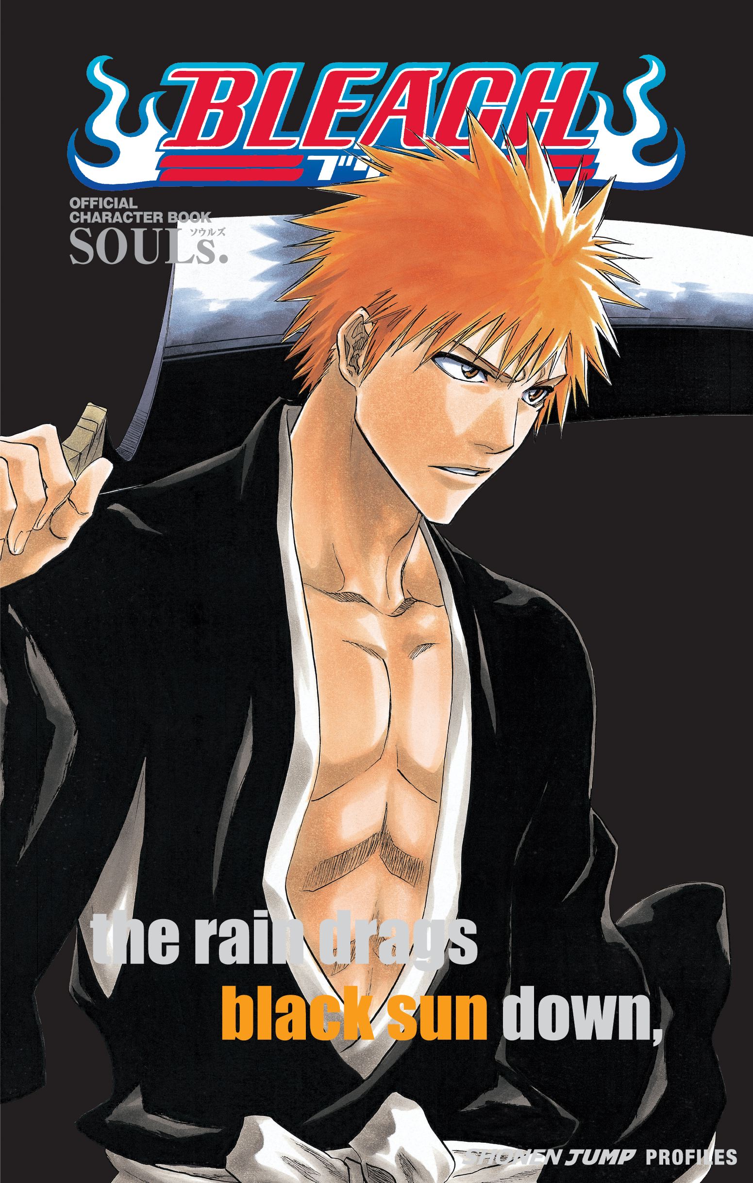 Product Image: Bleach SOULs. Official Character Book