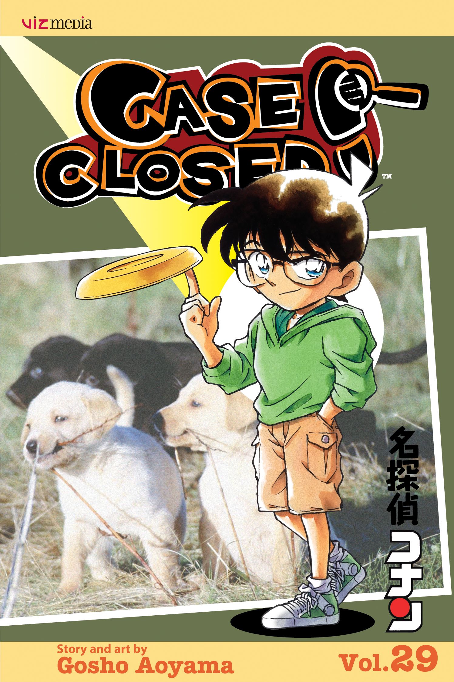 Product Image: Case Closed, Vol. 29