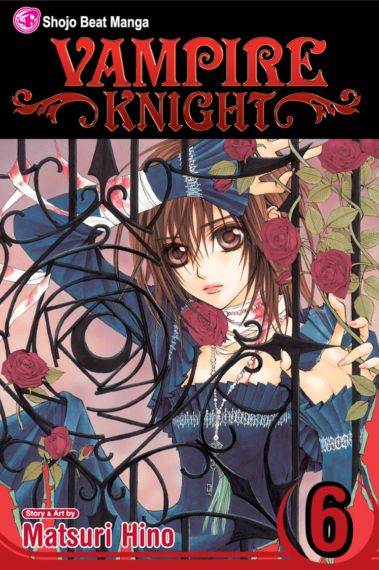 Product Image: Vampire Knight, Vol. 6