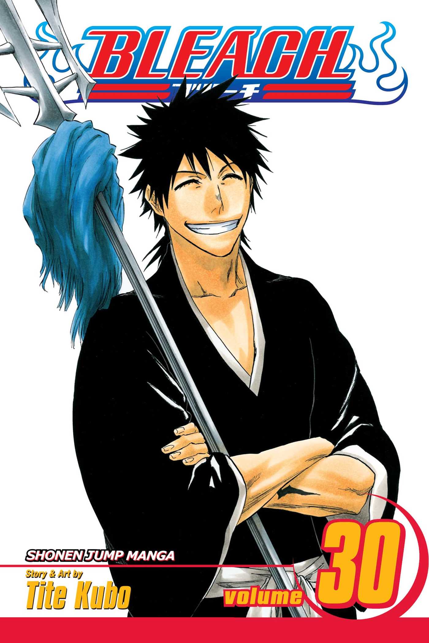 Product Image: Bleach, Vol. 30