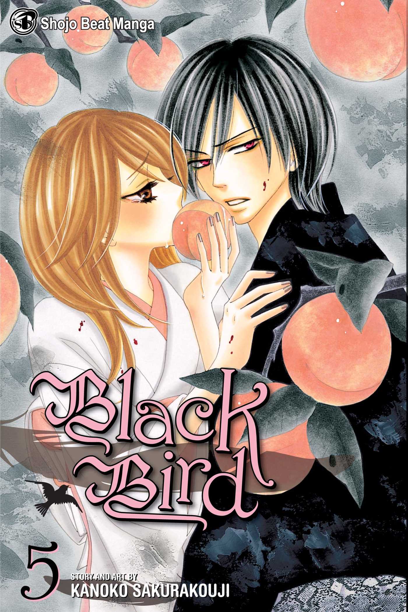 Product Image: Black Bird, Vol. 5