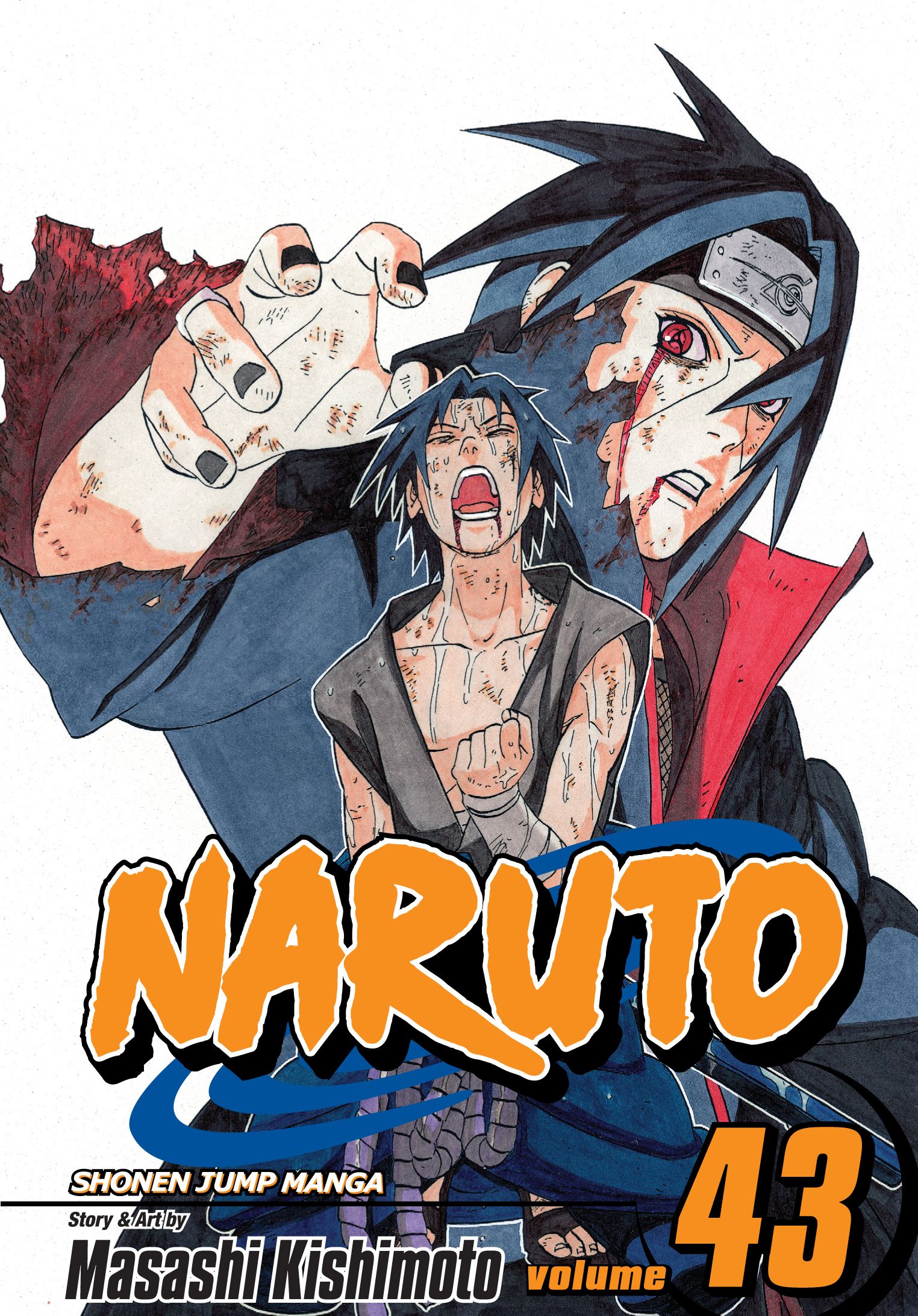 Product Image: Naruto, Vol. 43