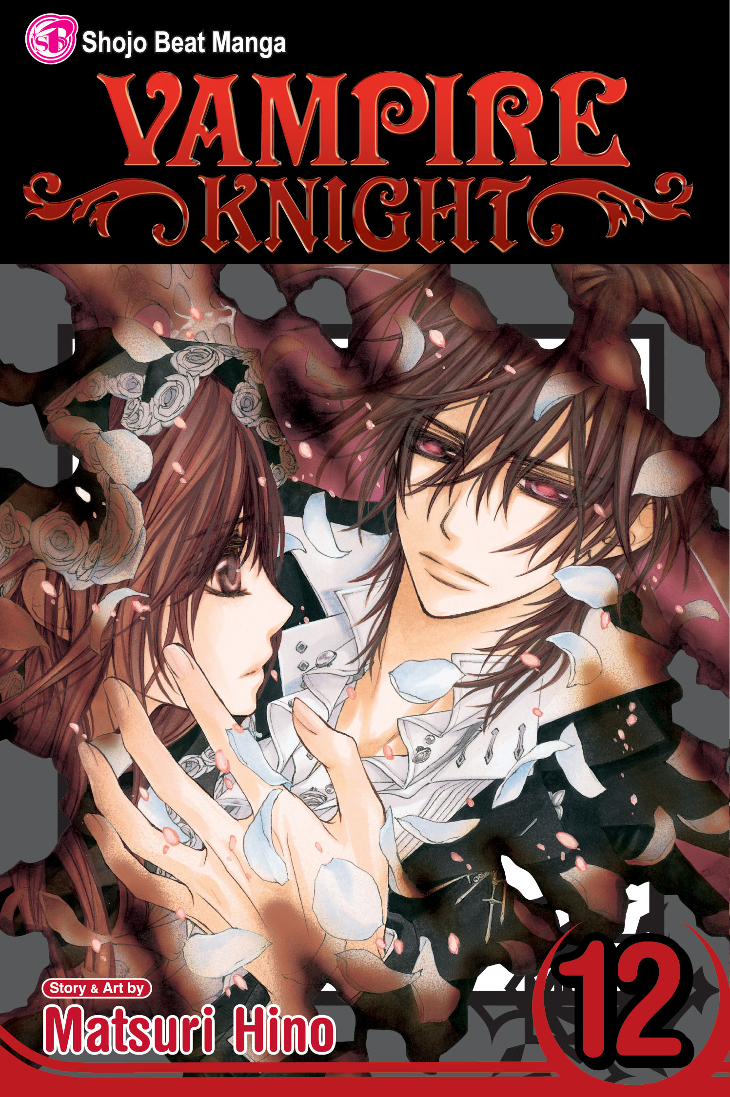 Product Image: Vampire Knight, Vol. 12