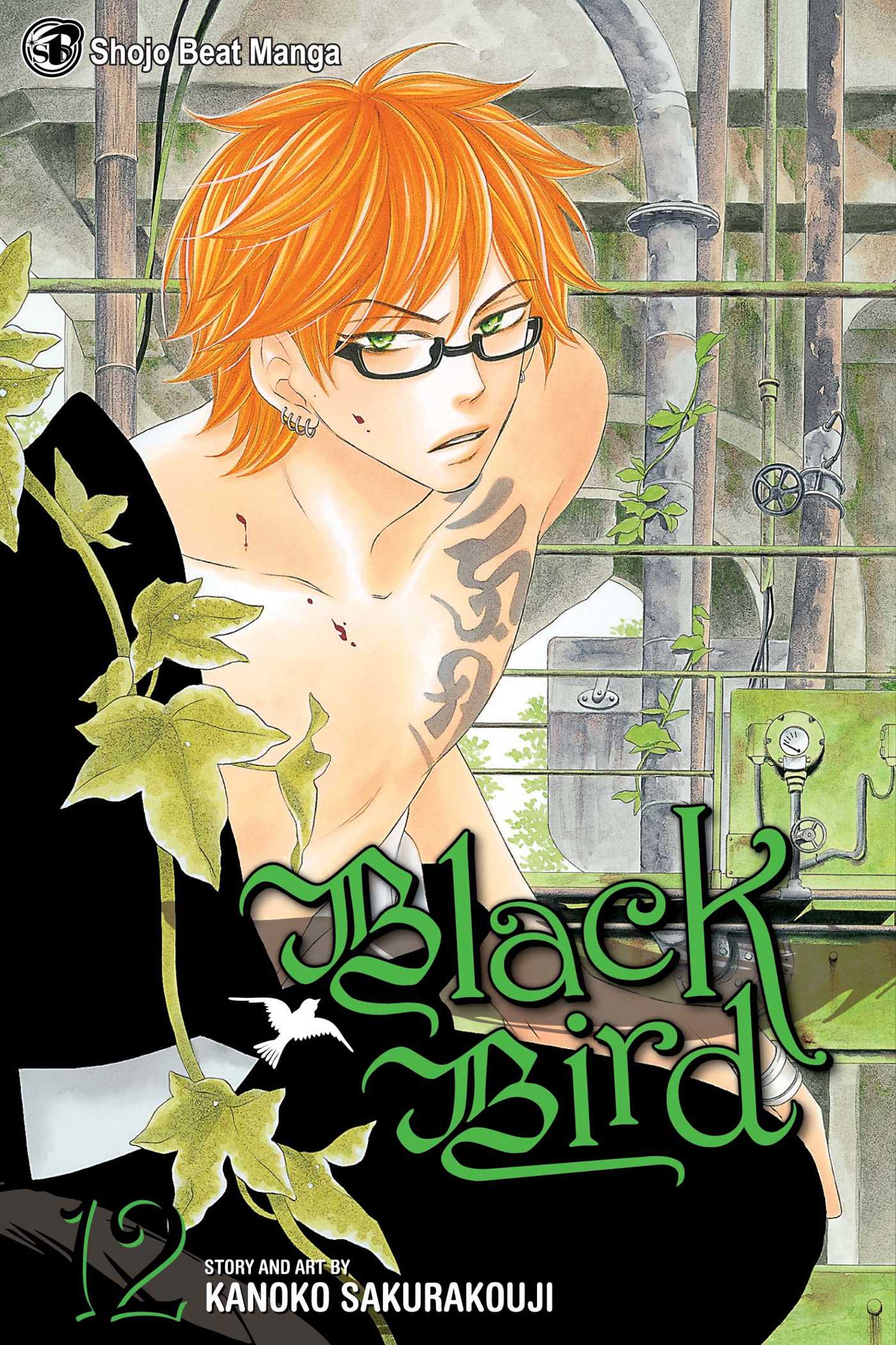 Product Image: Black Bird, Vol. 12