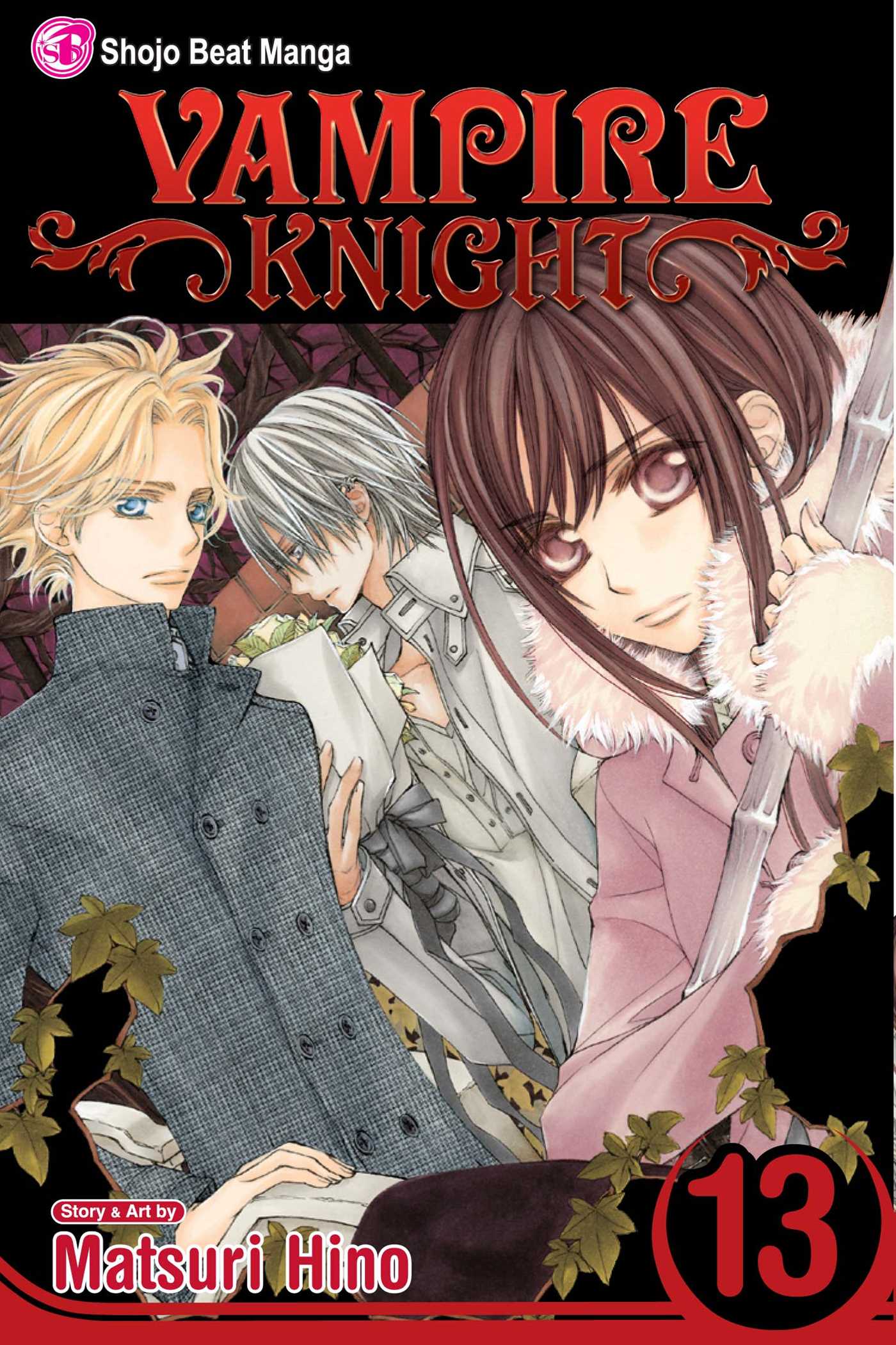 Product Image: Vampire Knight, Vol. 13