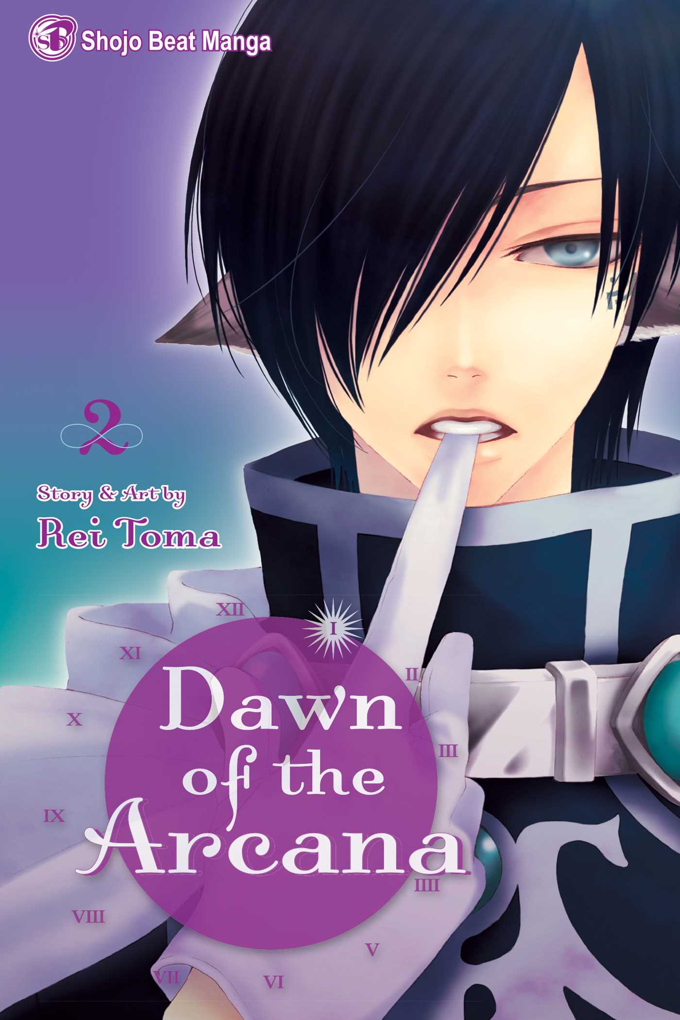 Product Image: Dawn of the Arcana, Vol. 2