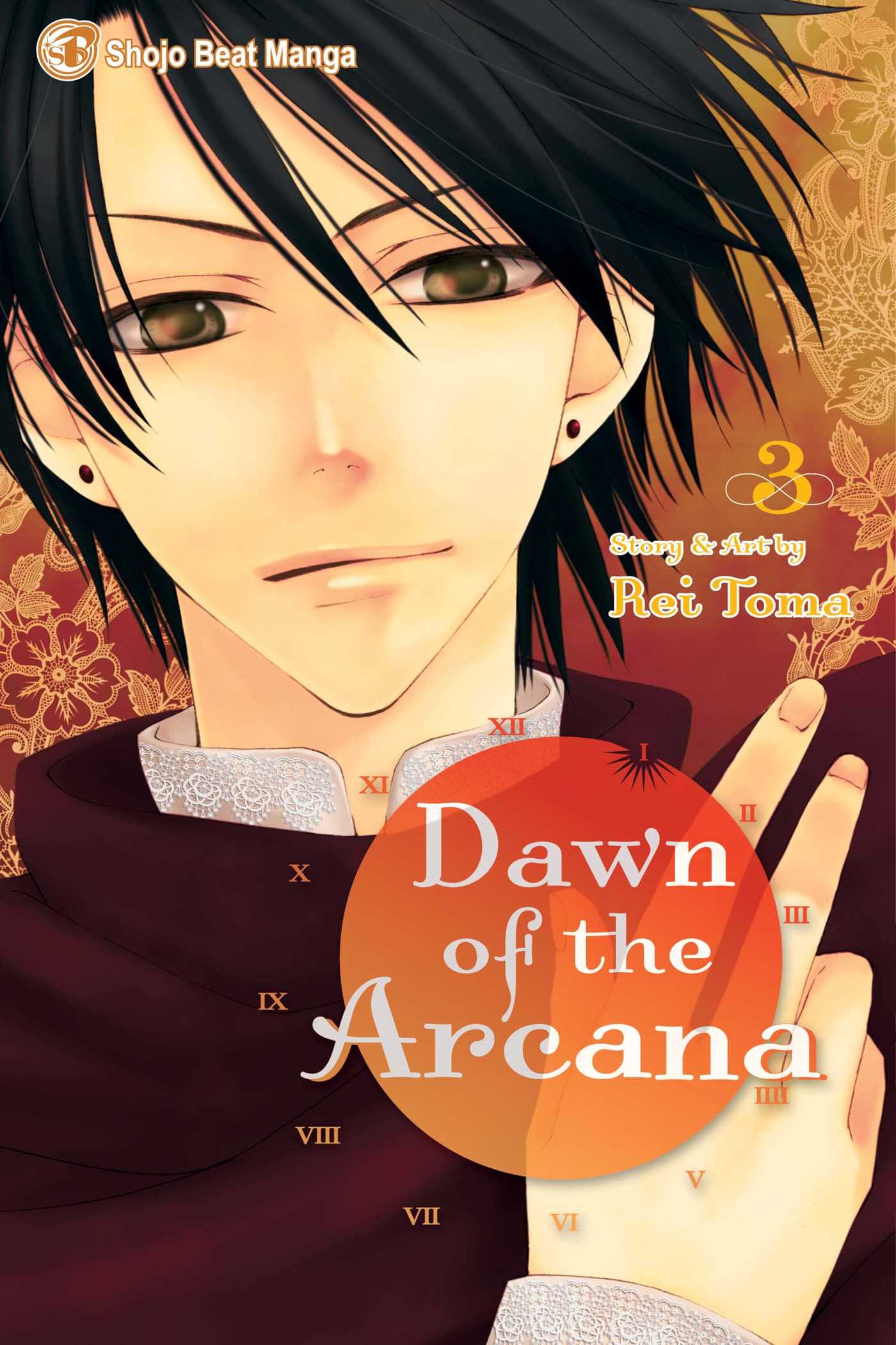 Product Image: Dawn of the Arcana, Vol. 3