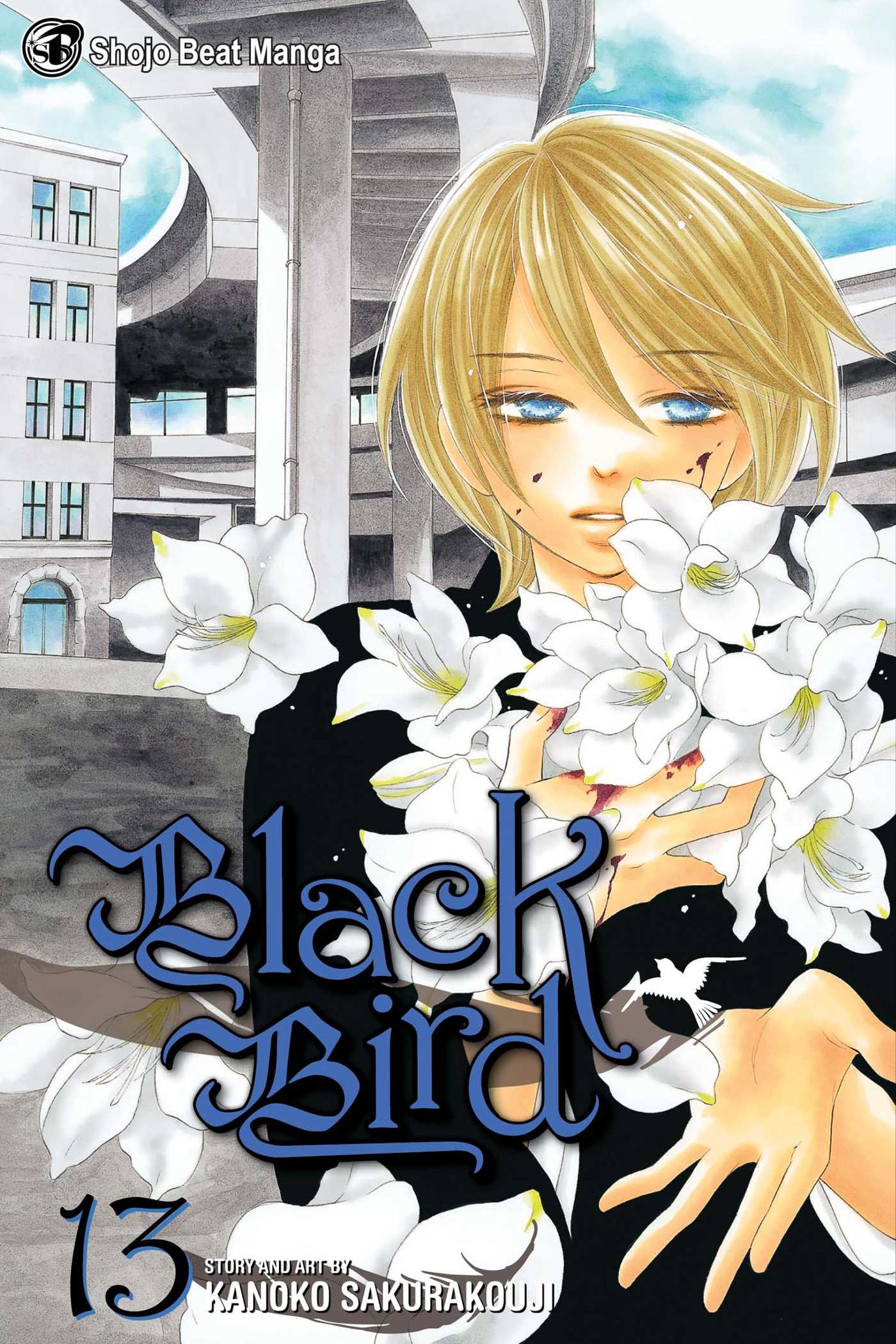 Product Image: Black Bird, Vol. 13