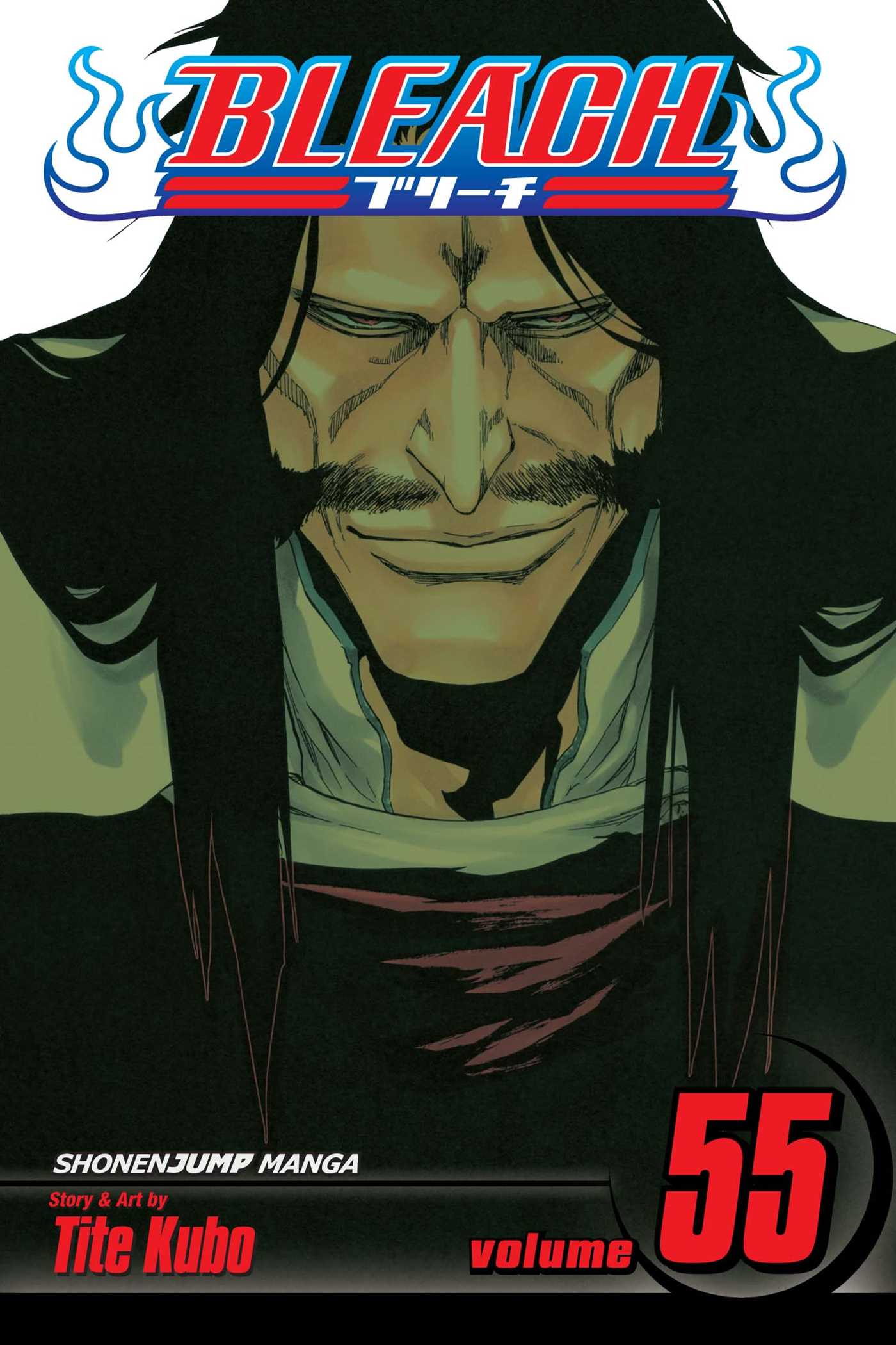 Product Image: Bleach, Vol. 55