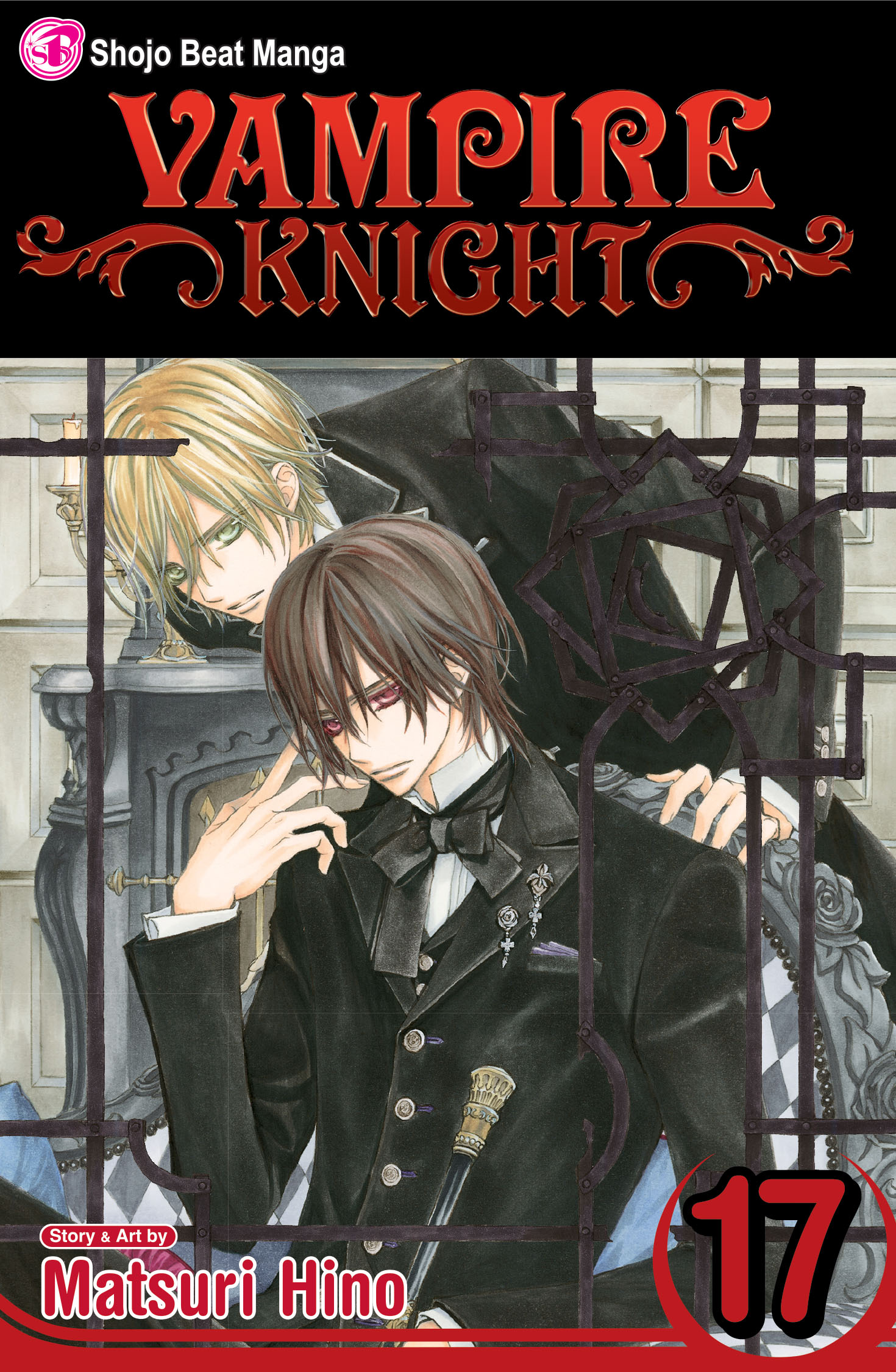 Product Image: Vampire Knight, Vol. 17