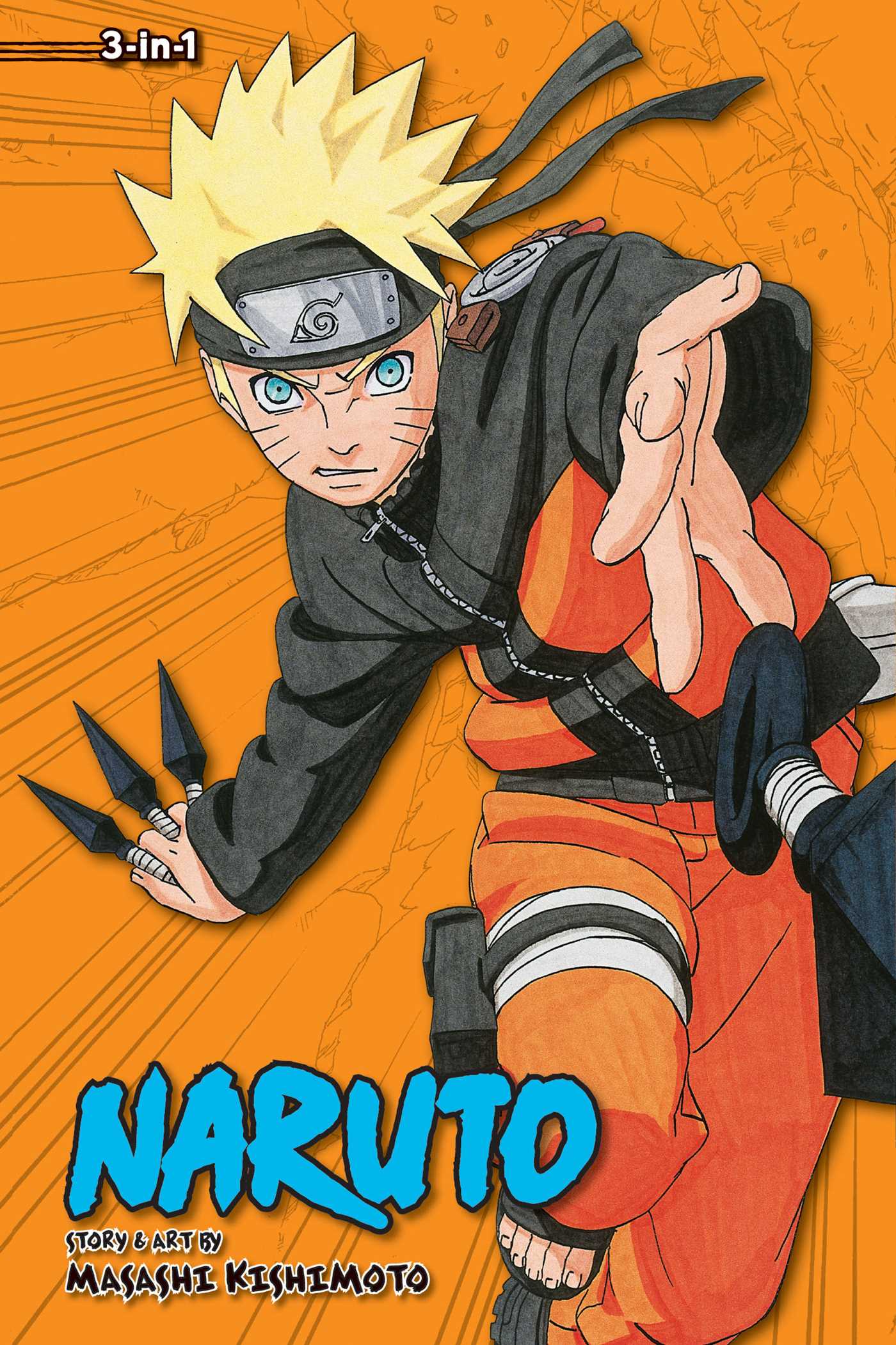 Product Image: Naruto (3-in-1 Edition), Vol. 10