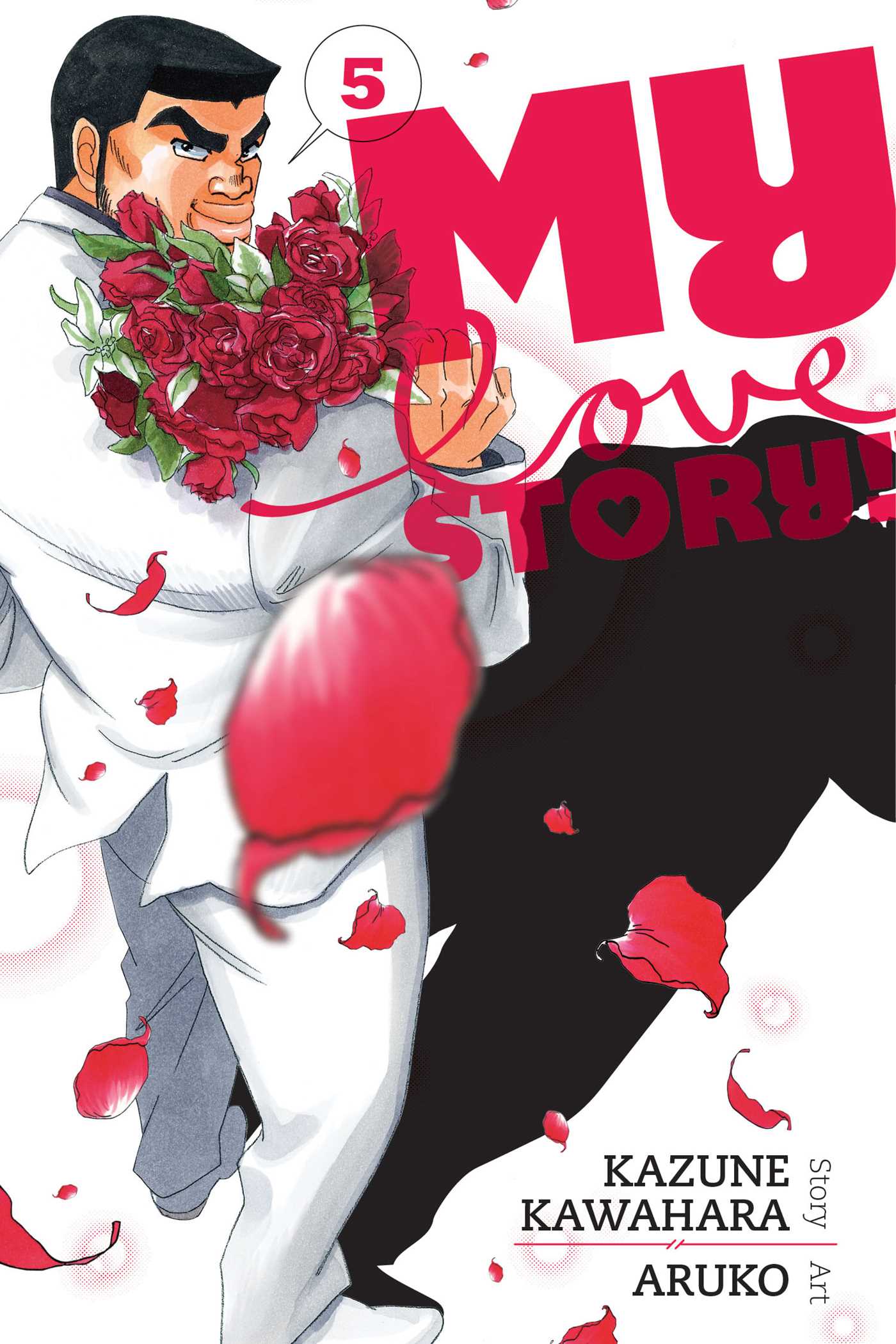 Product Image: My Love Story!!, Vol. 5