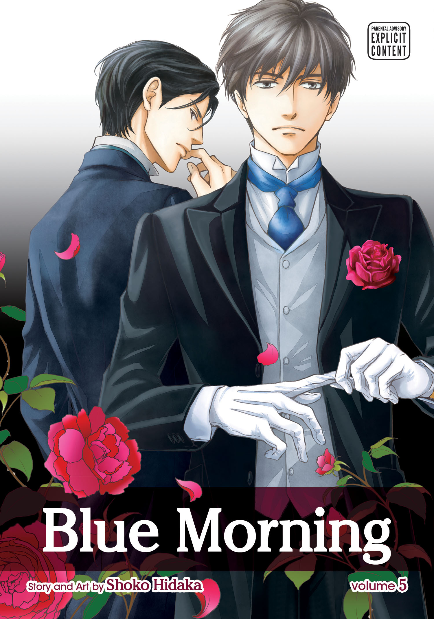 Product Image: Blue Morning, Vol. 5
