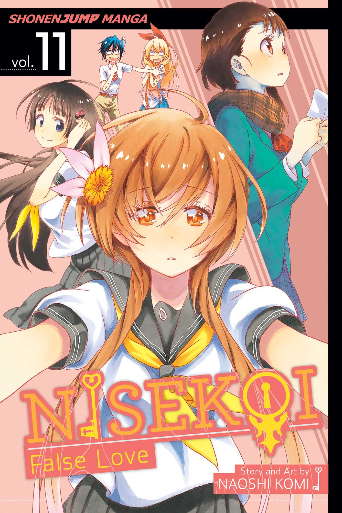 Product Image: Nisekoi: False Love, Vol. 11