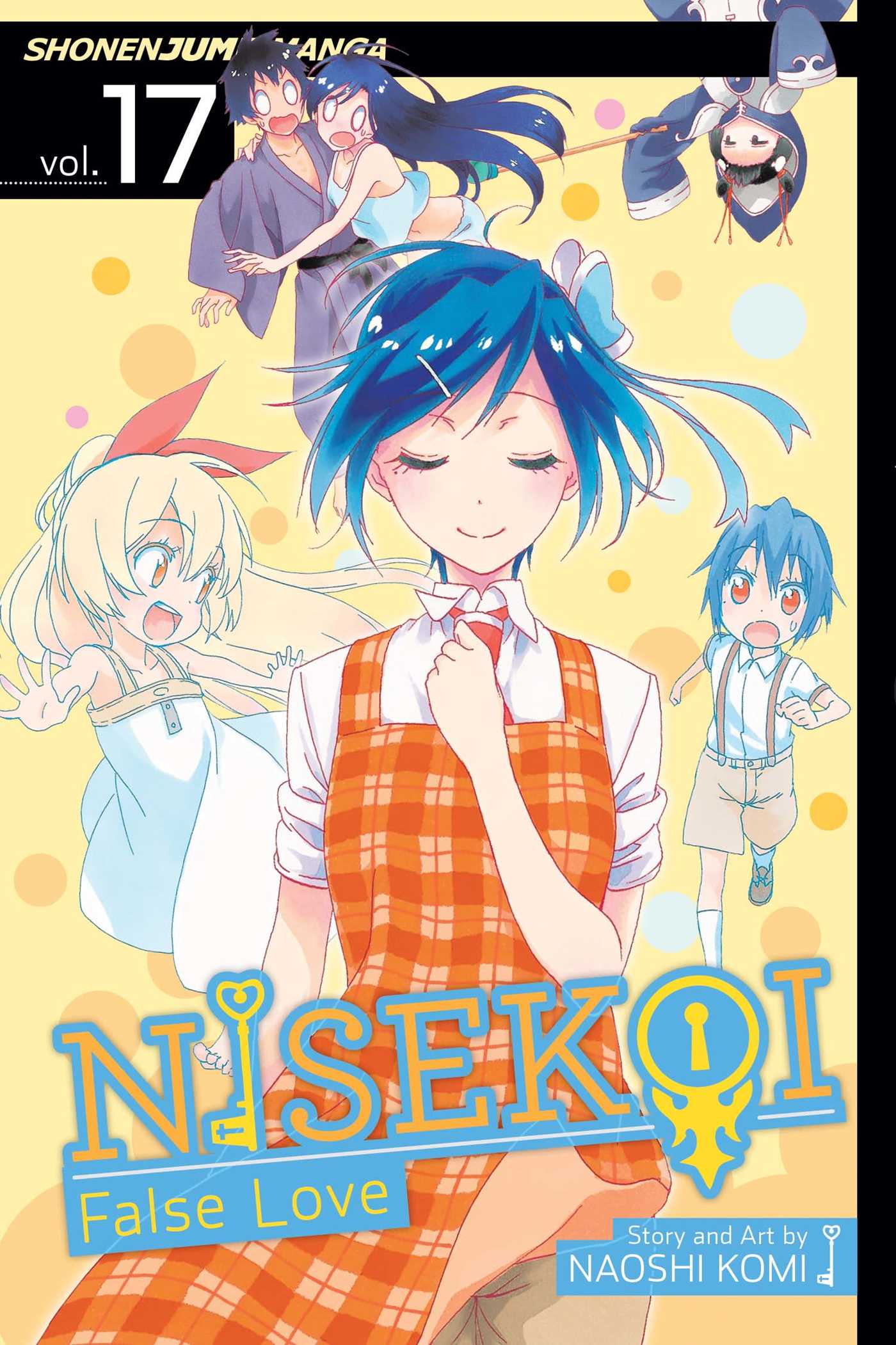 Product Image: Nisekoi: False Love, Vol. 17