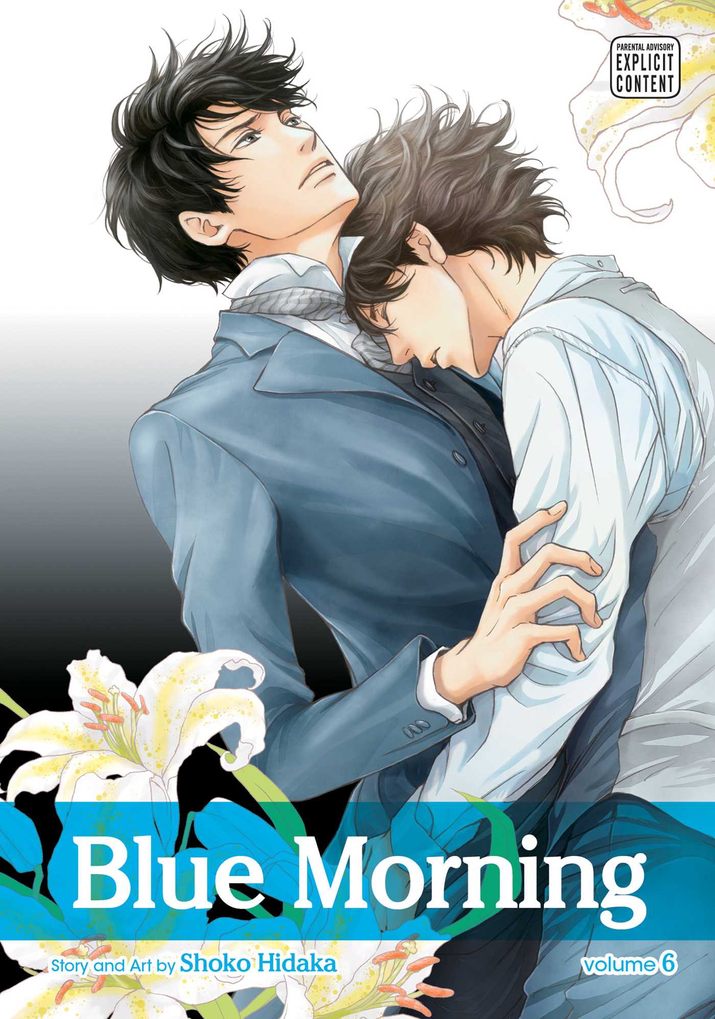 Product Image: Blue Morning, Vol. 6