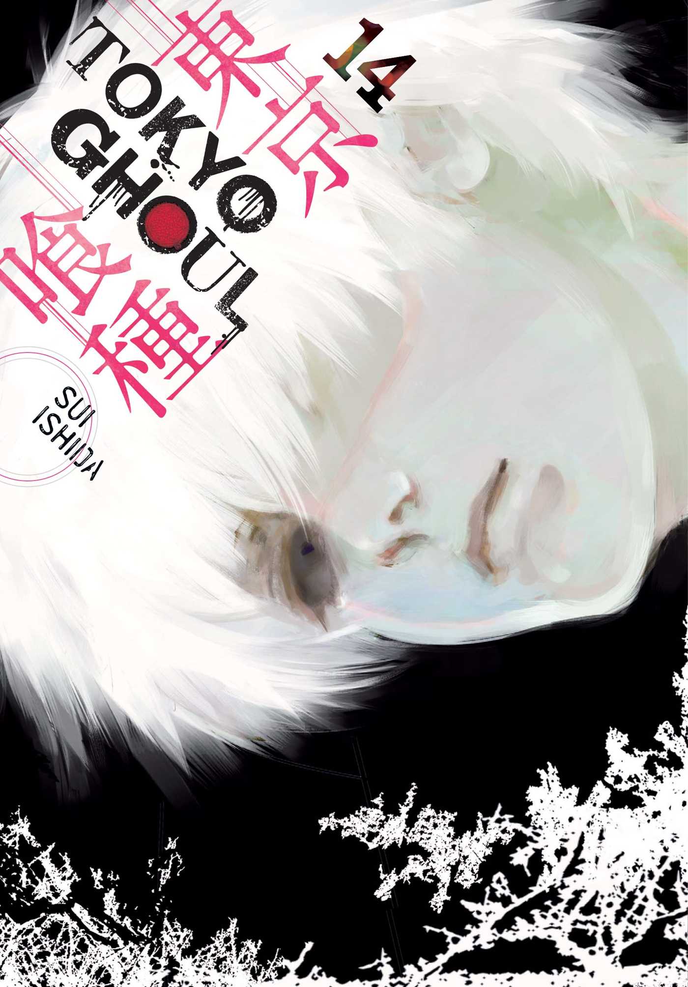 Product Image: Tokyo Ghoul, Vol. 14