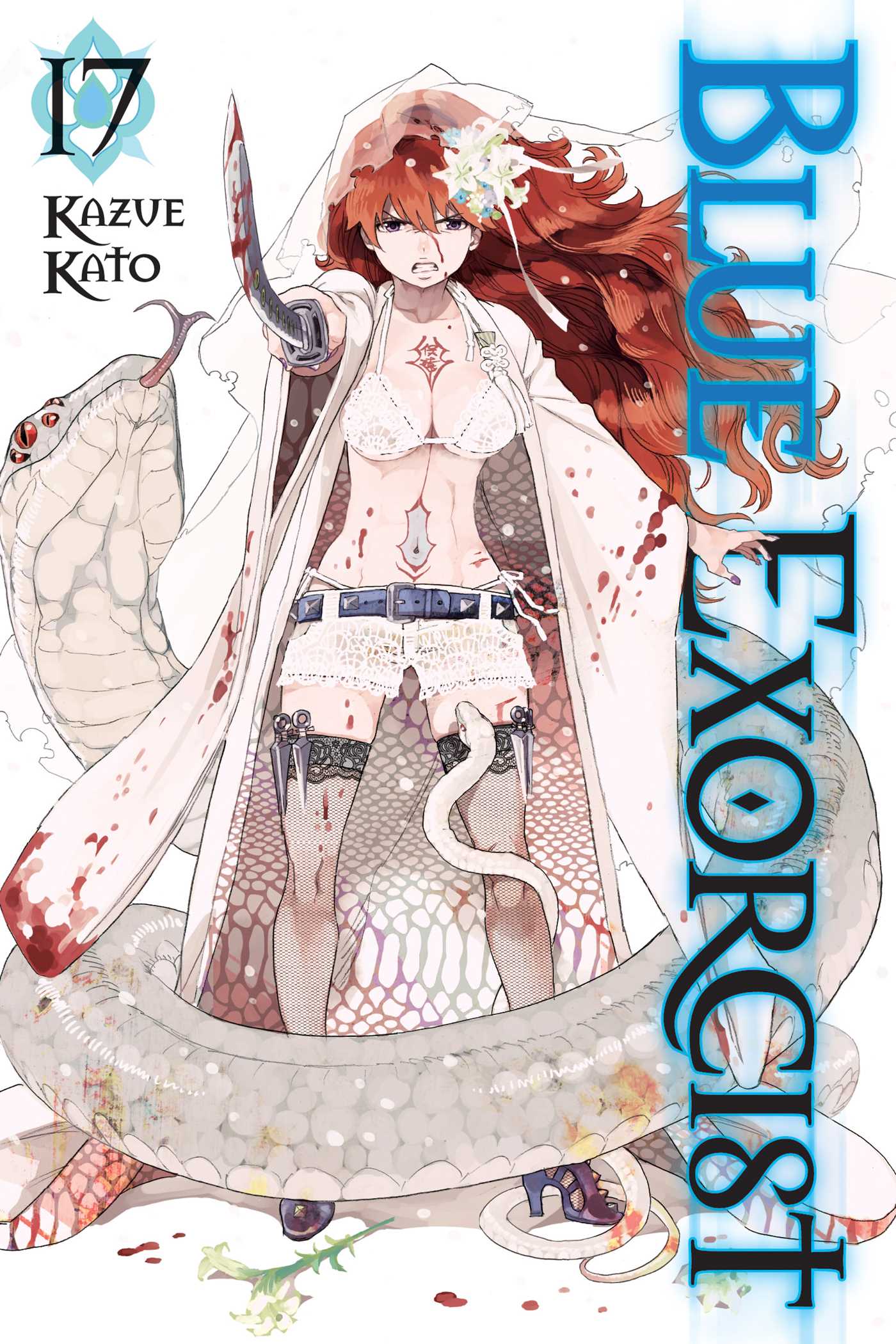 Product Image: Blue Exorcist, Vol. 17