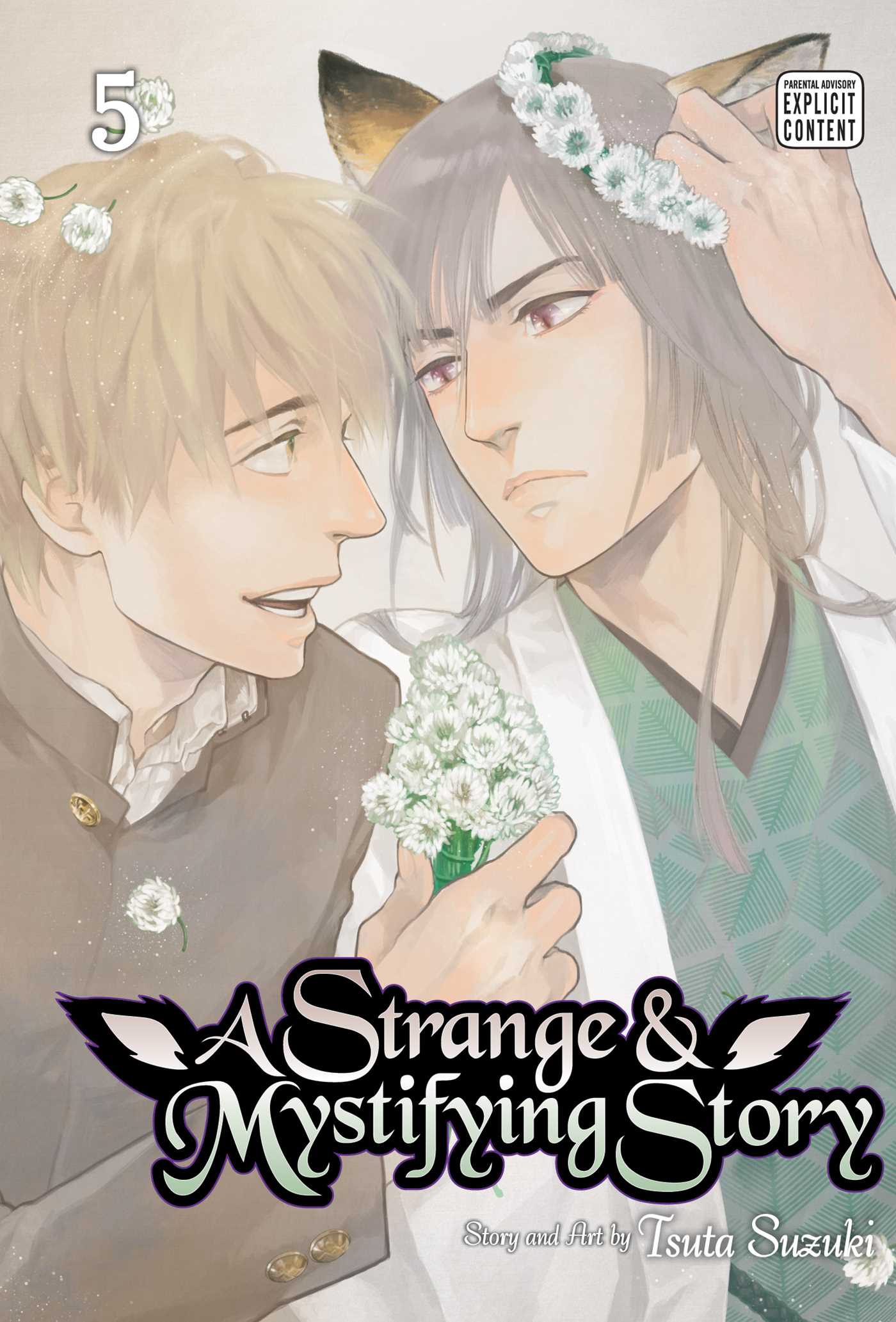 Product Image: A Strange & Mystifying Story, Vol. 5