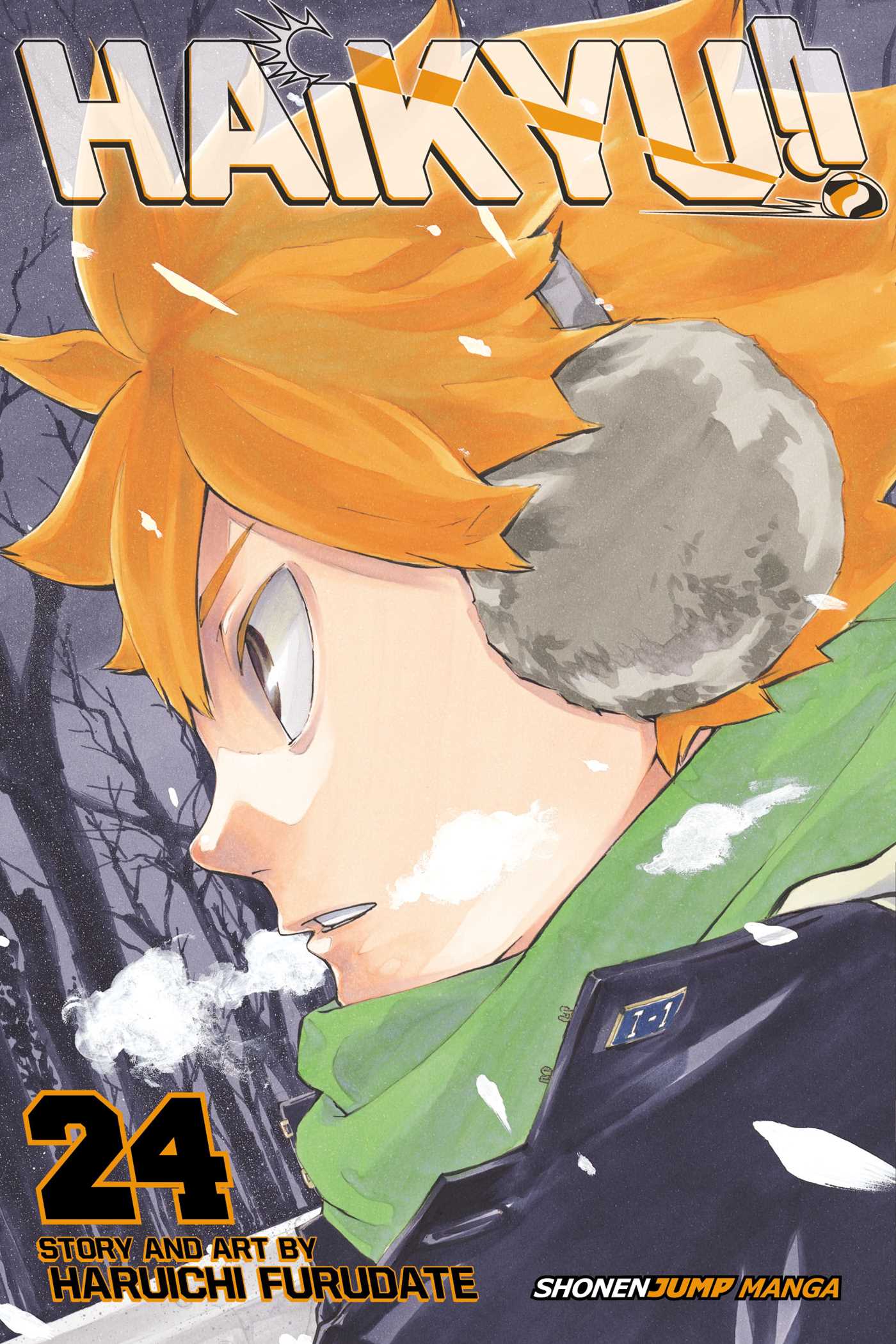 Product Image: Haikyu!!, Vol. 24