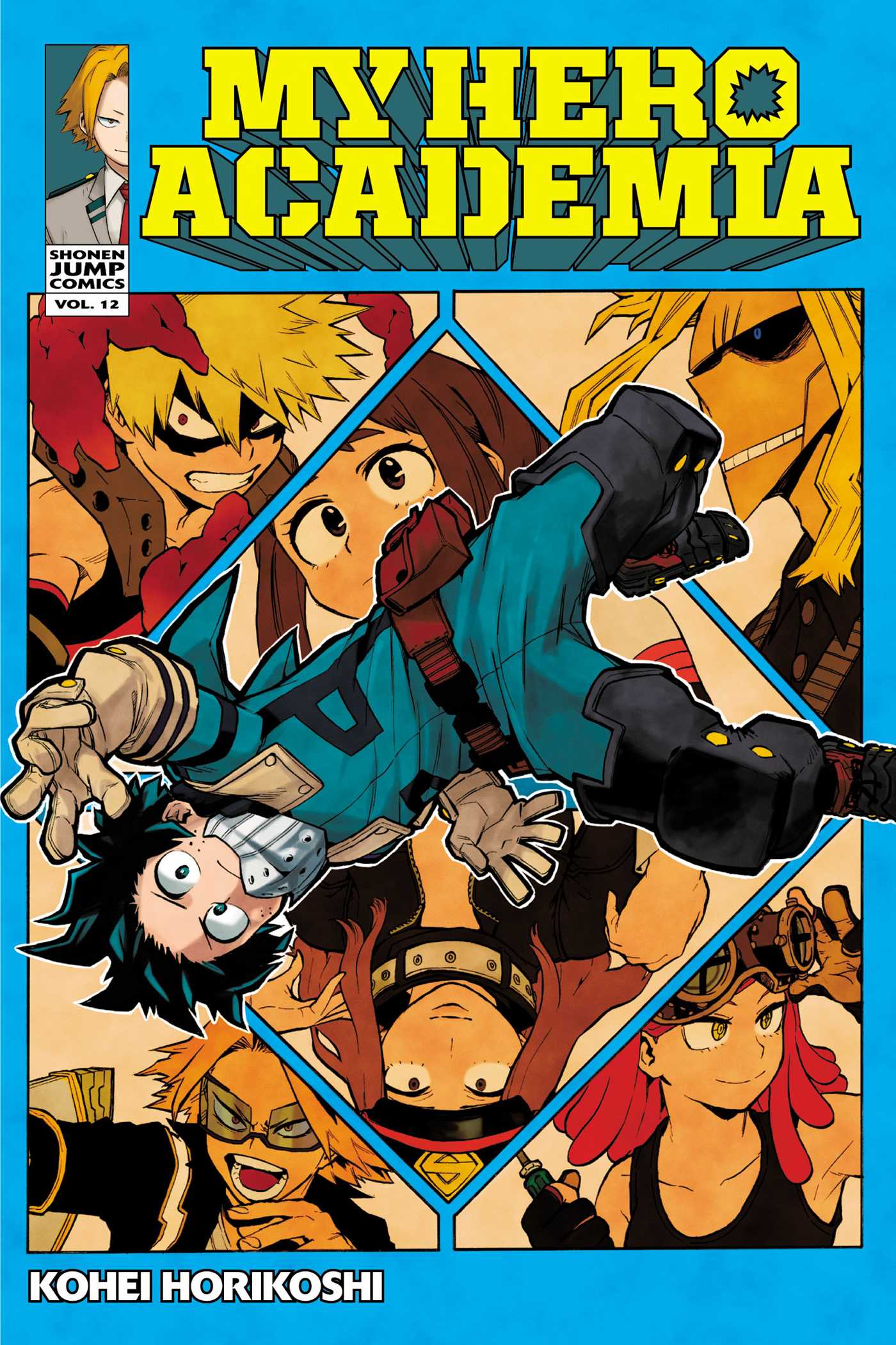 Product Image: My Hero Academia, Vol. 12