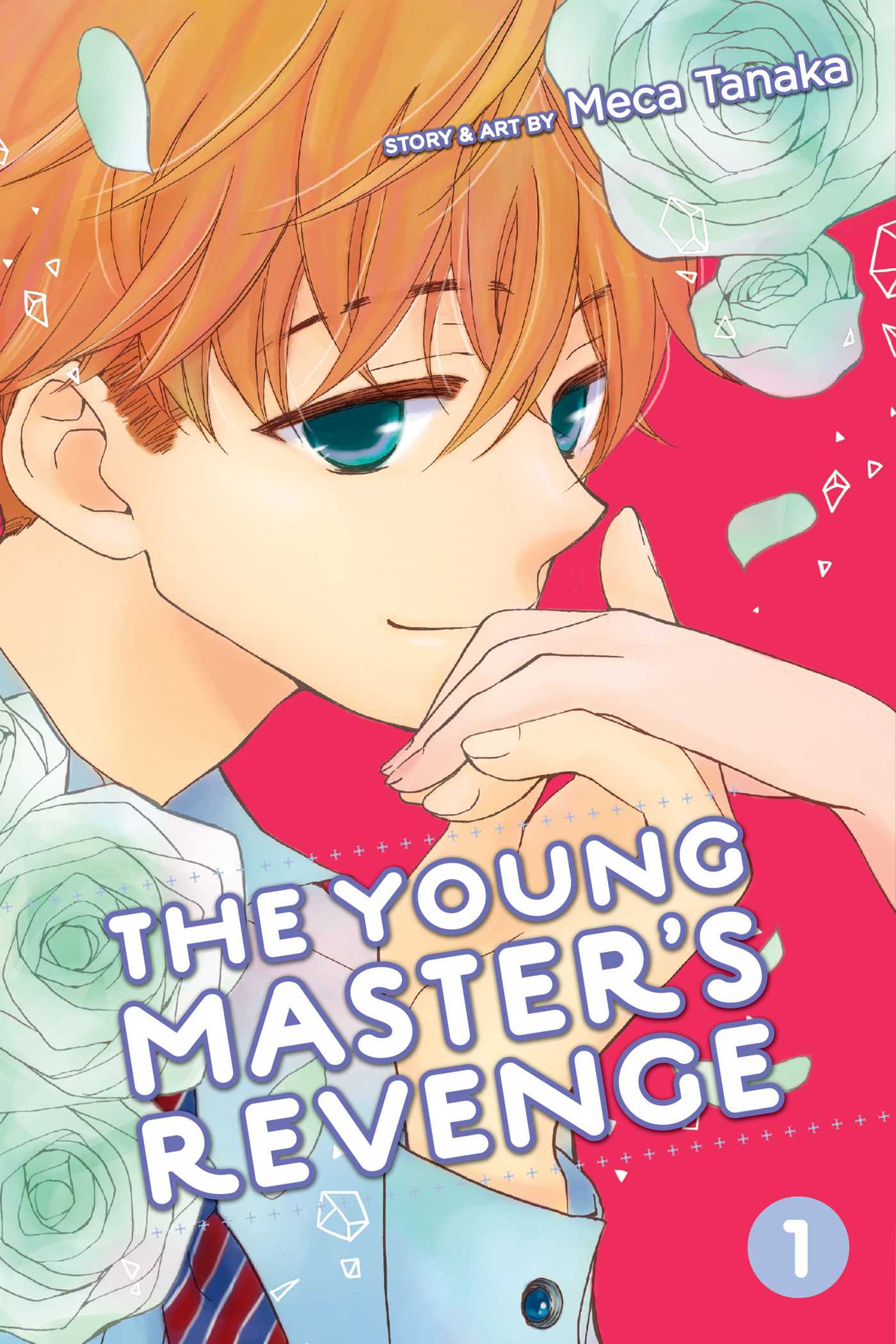 Product Image: The Young Master's Revenge, Vol. 1