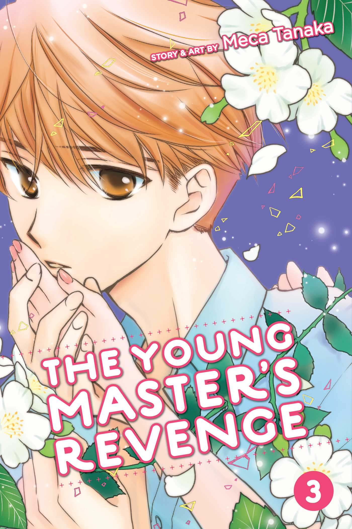 Product Image: The Young Master's Revenge, Vol. 3